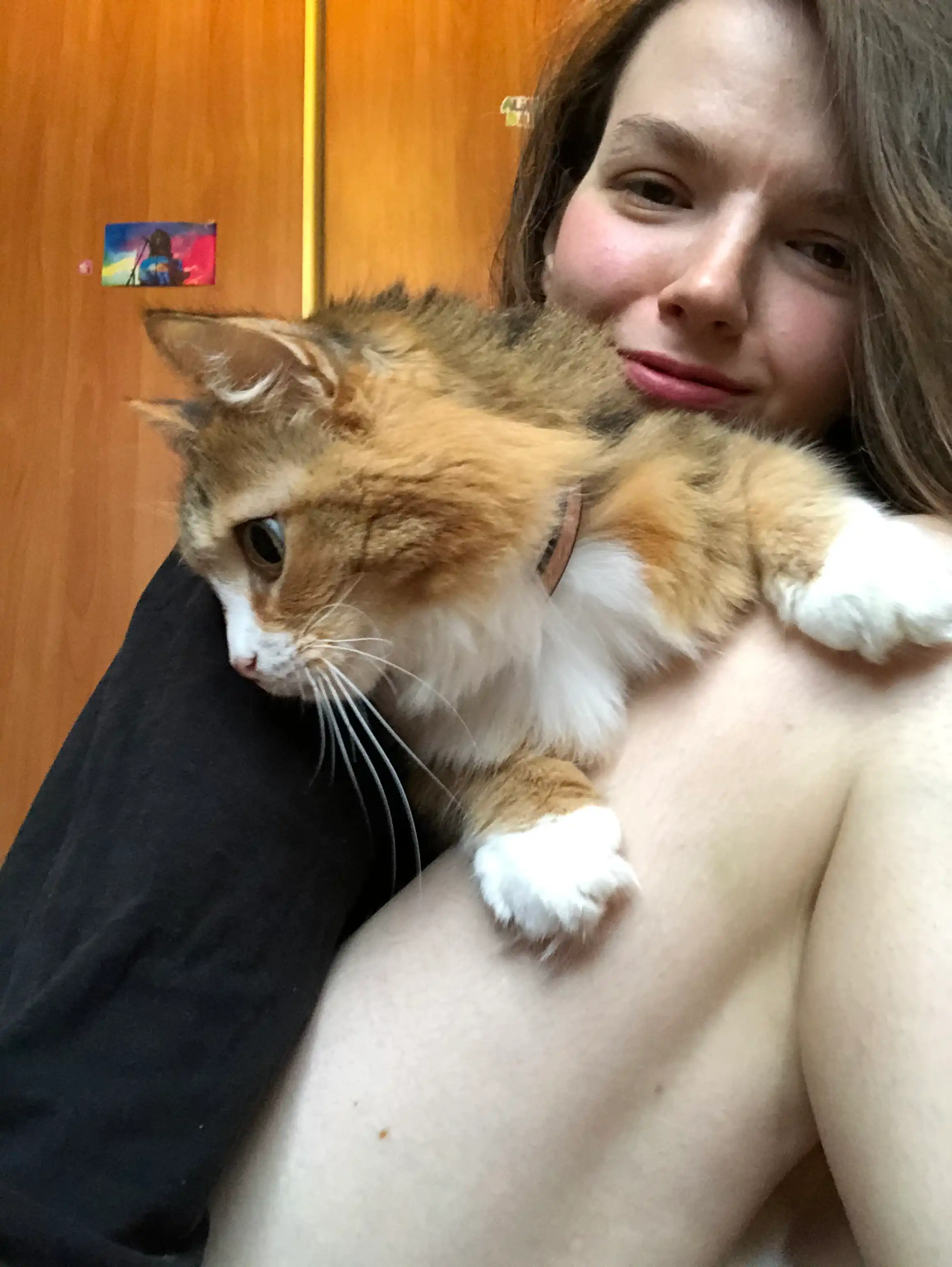 image-14