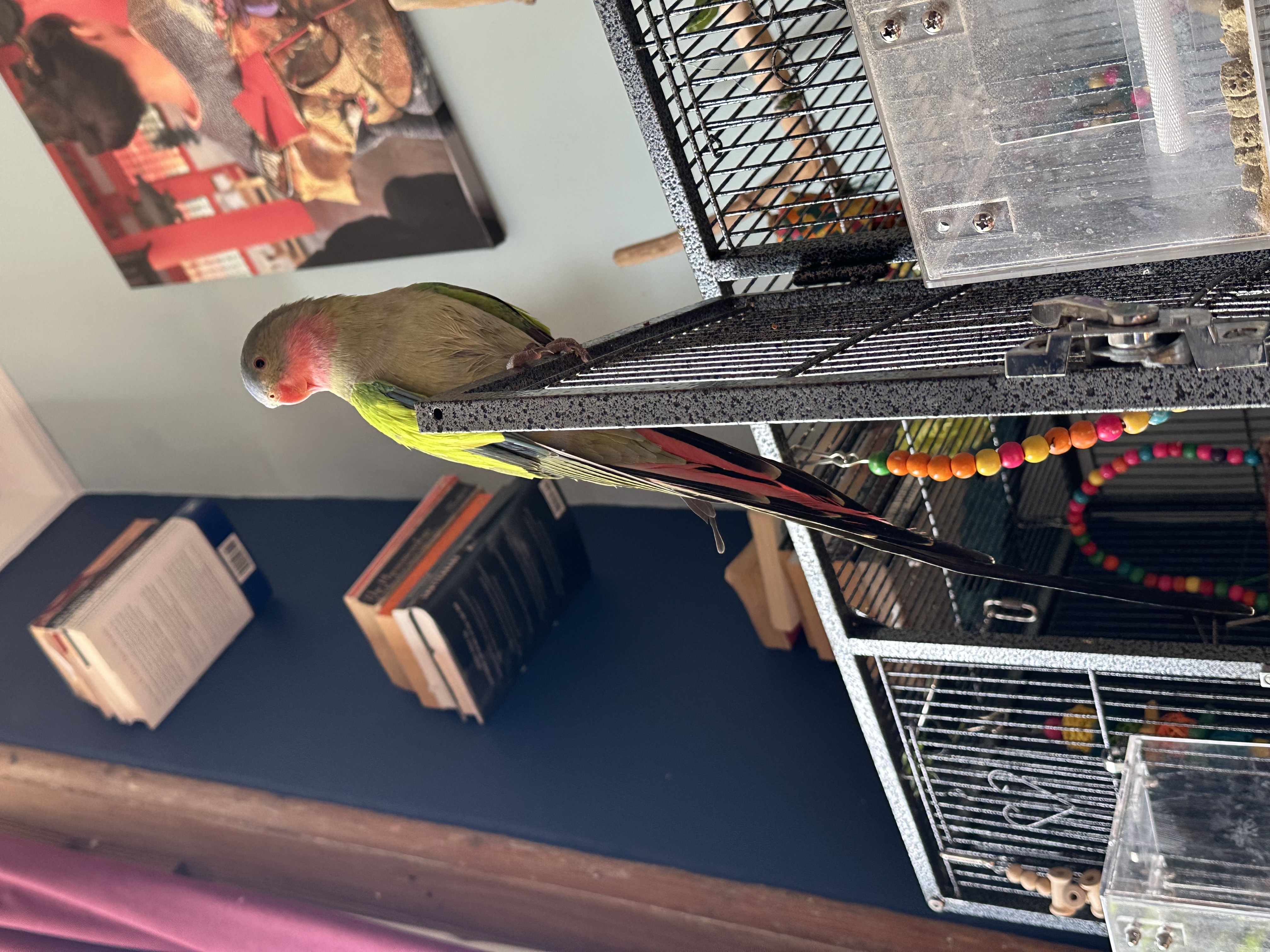 image-13