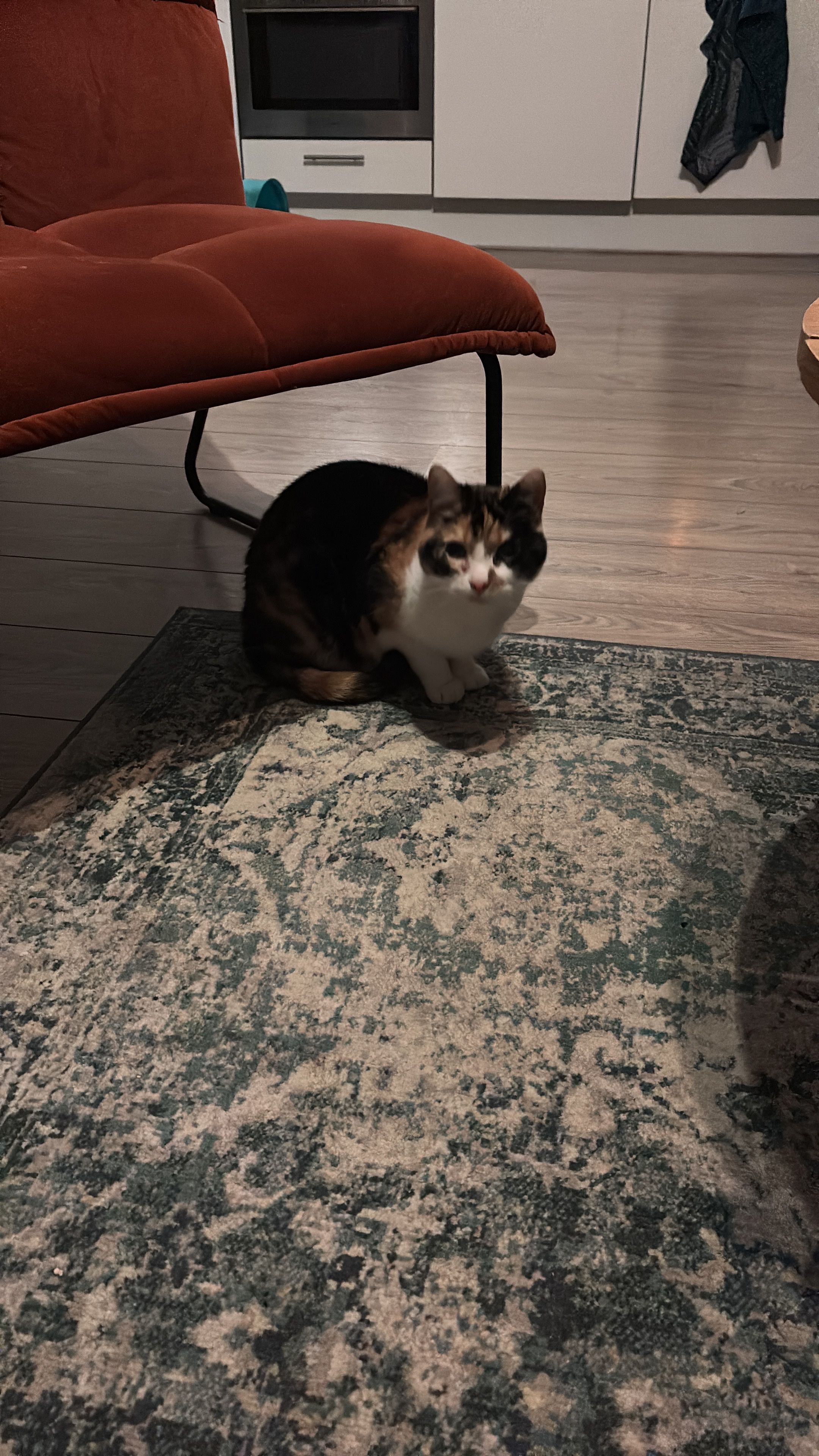 image-13