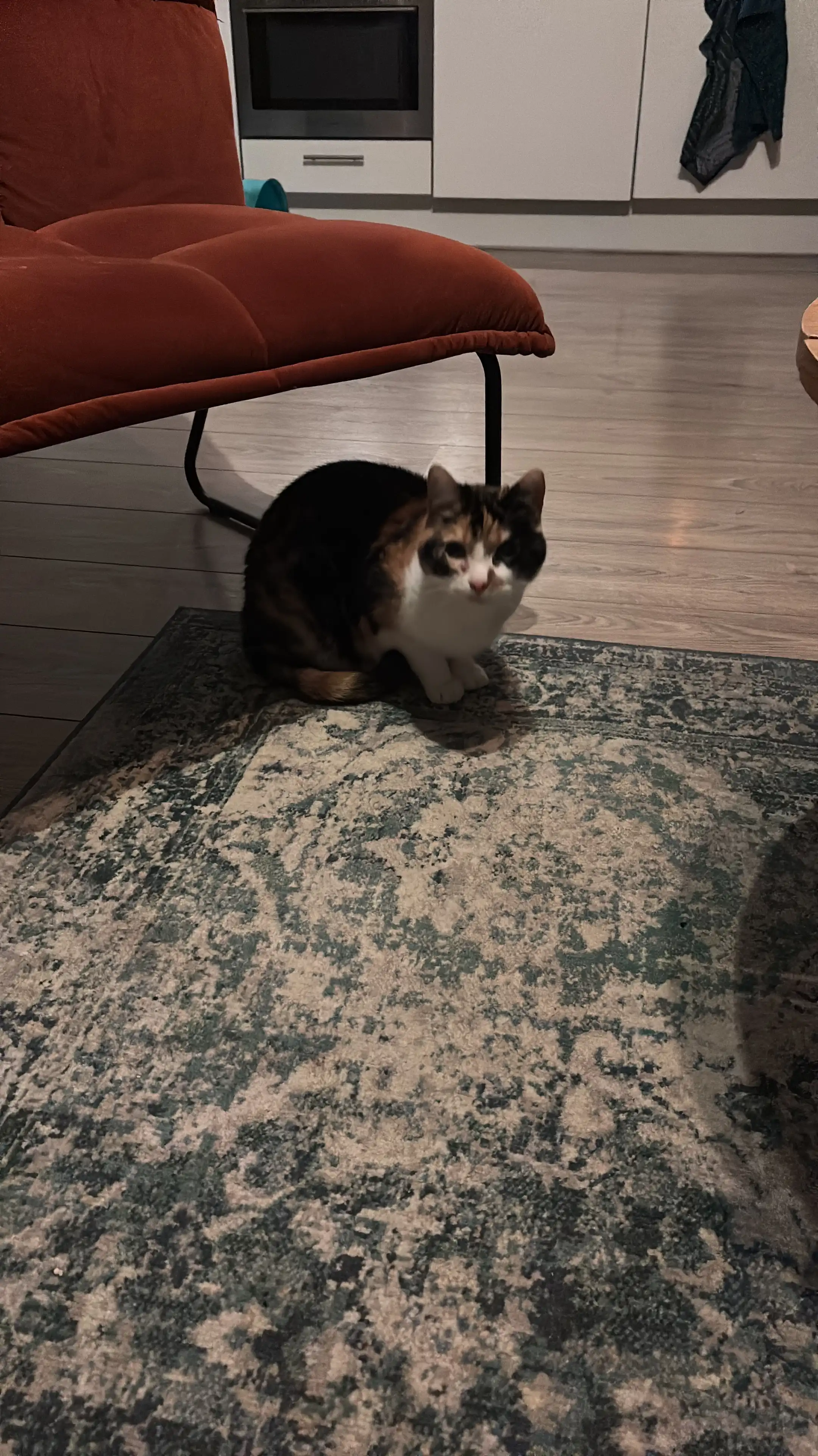image-13
