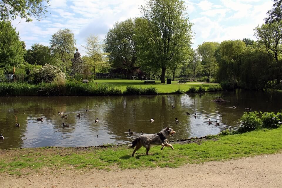 image-20