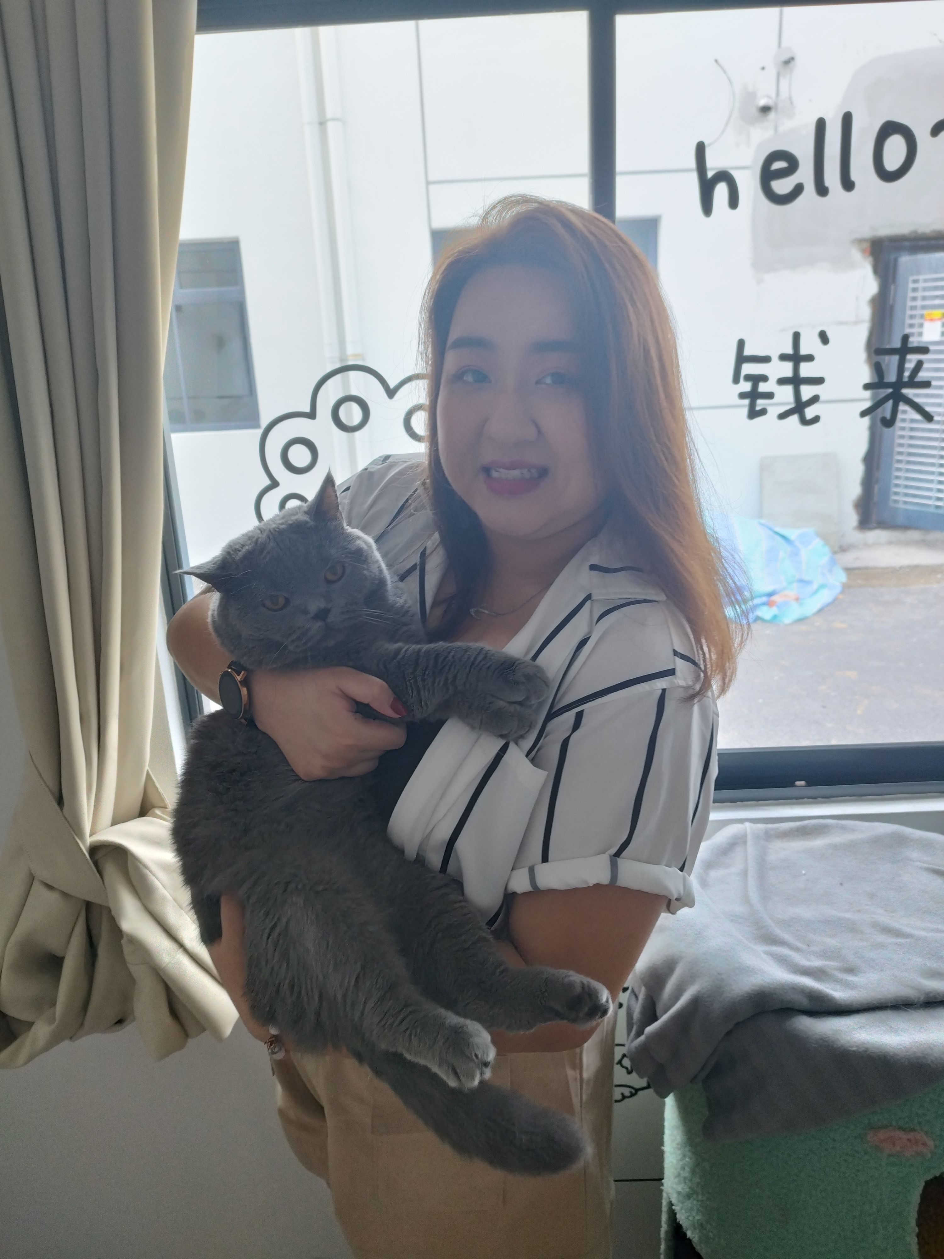 image-6