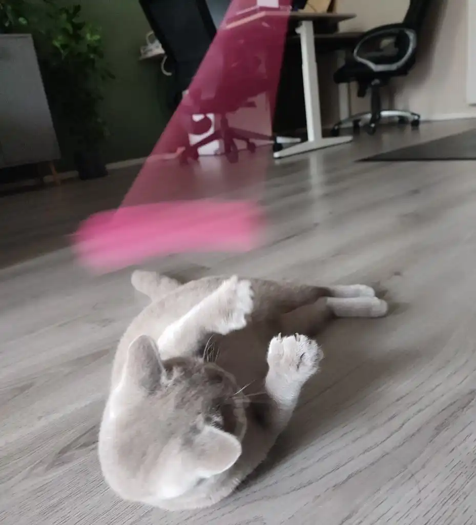 image-14