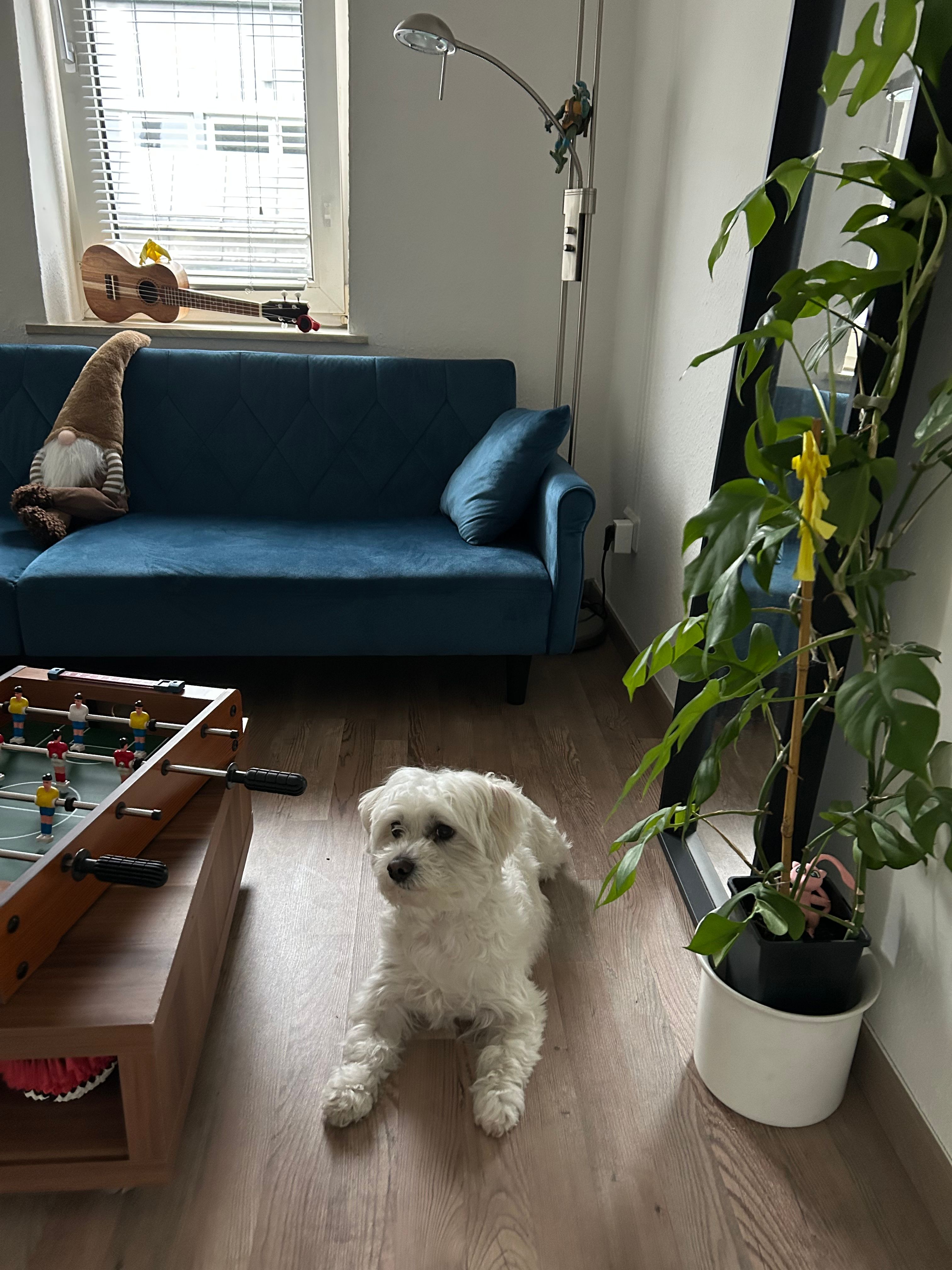 image-13