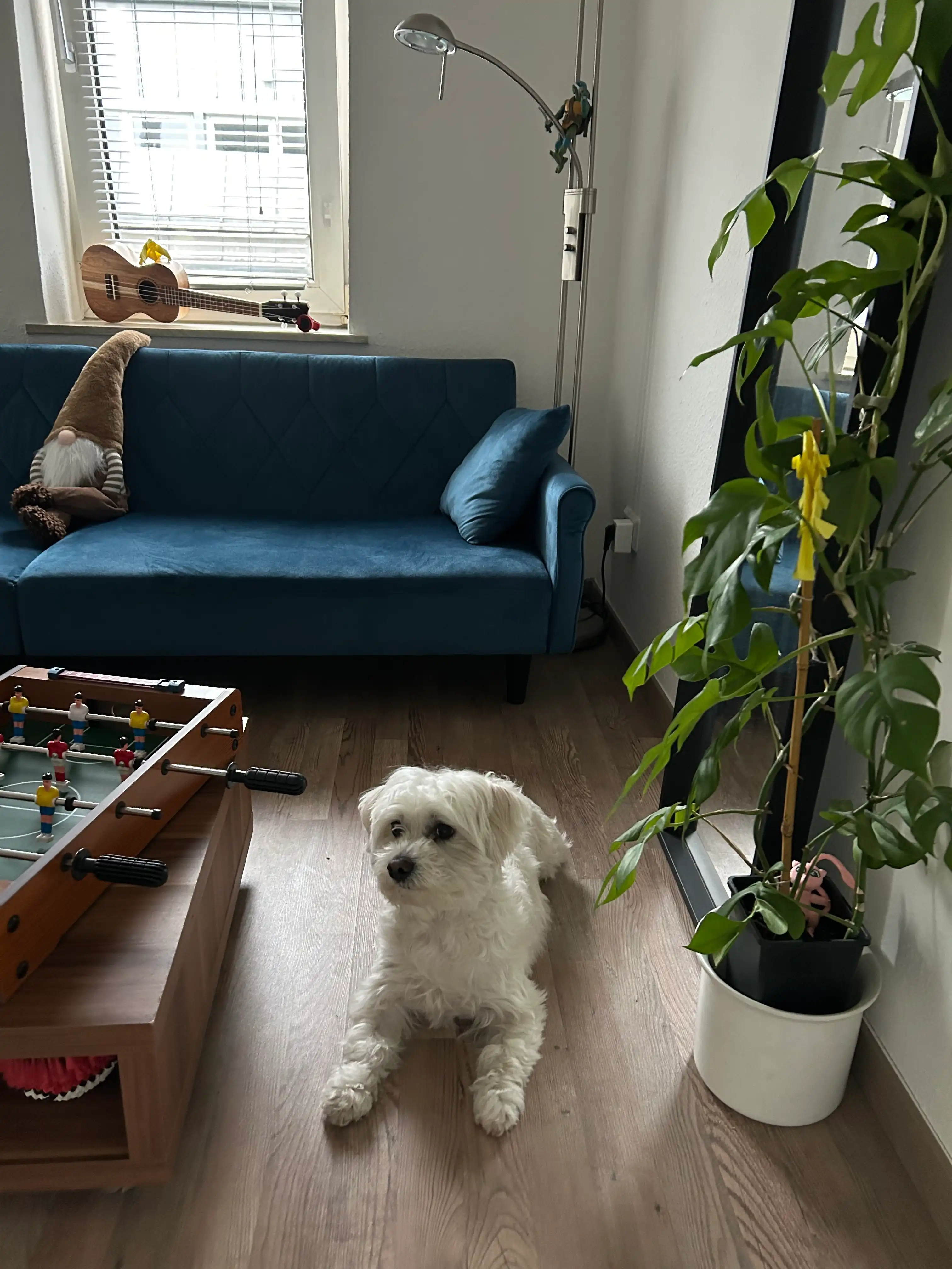 image-13