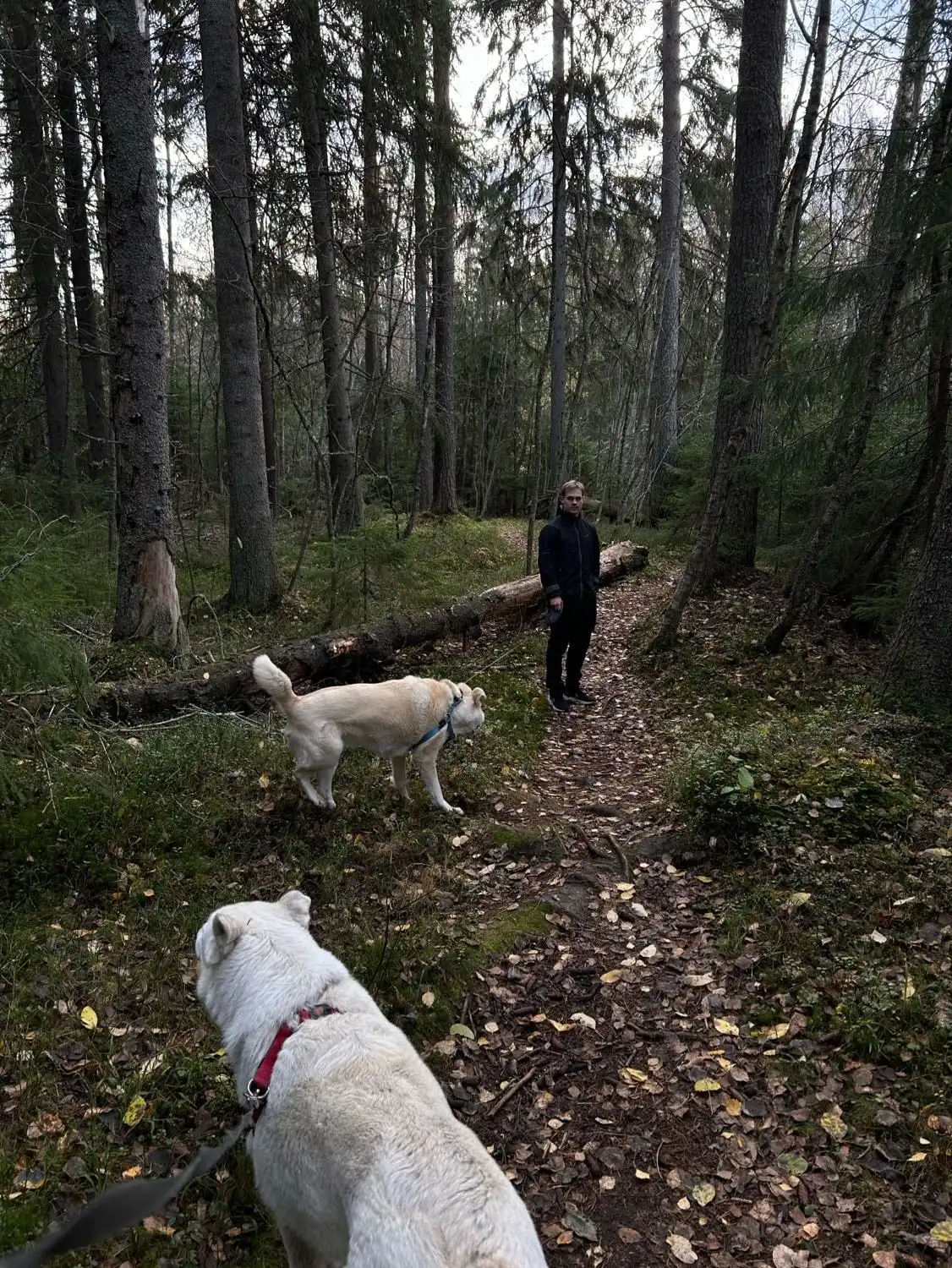 image-5