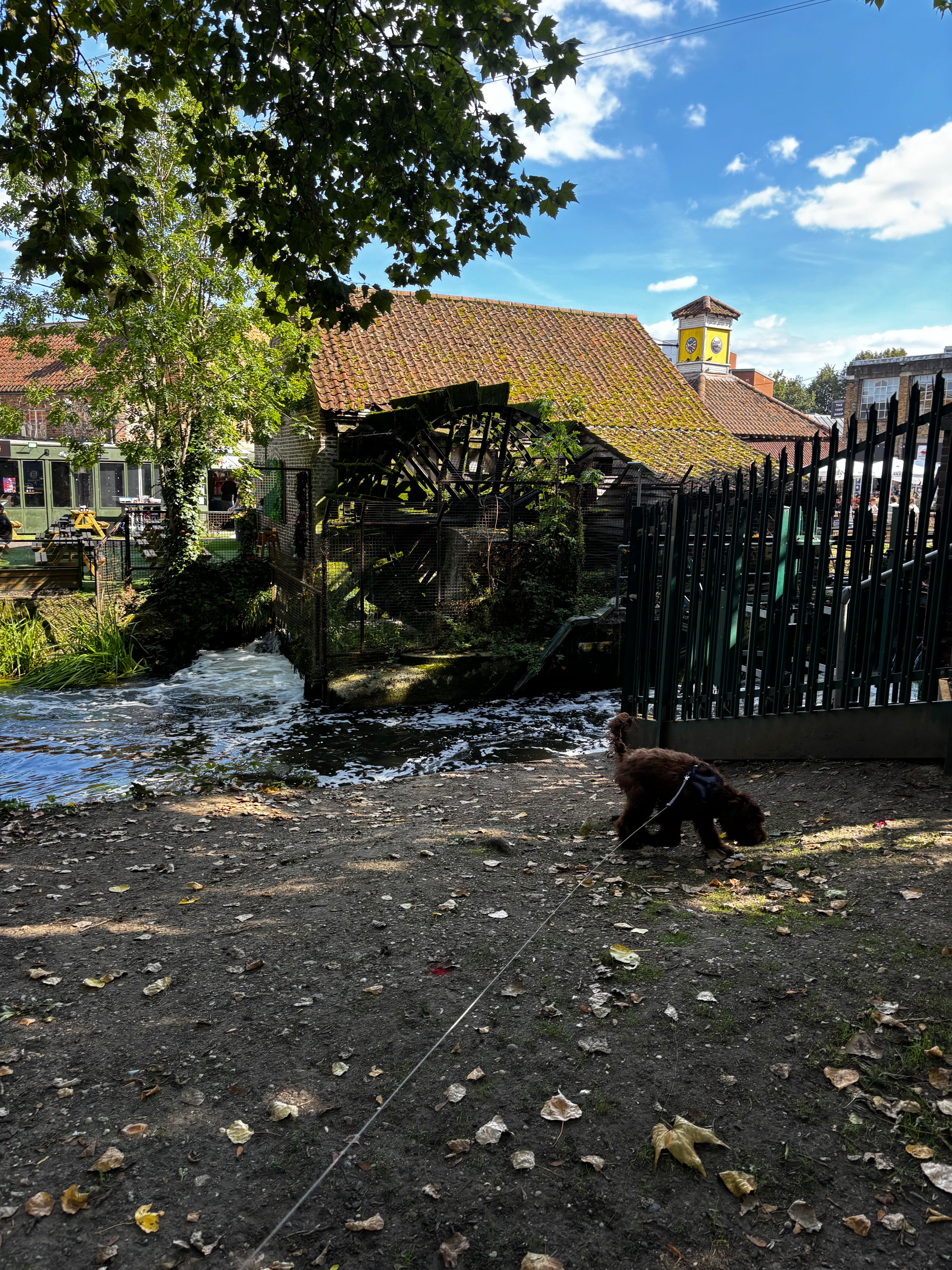 image-20