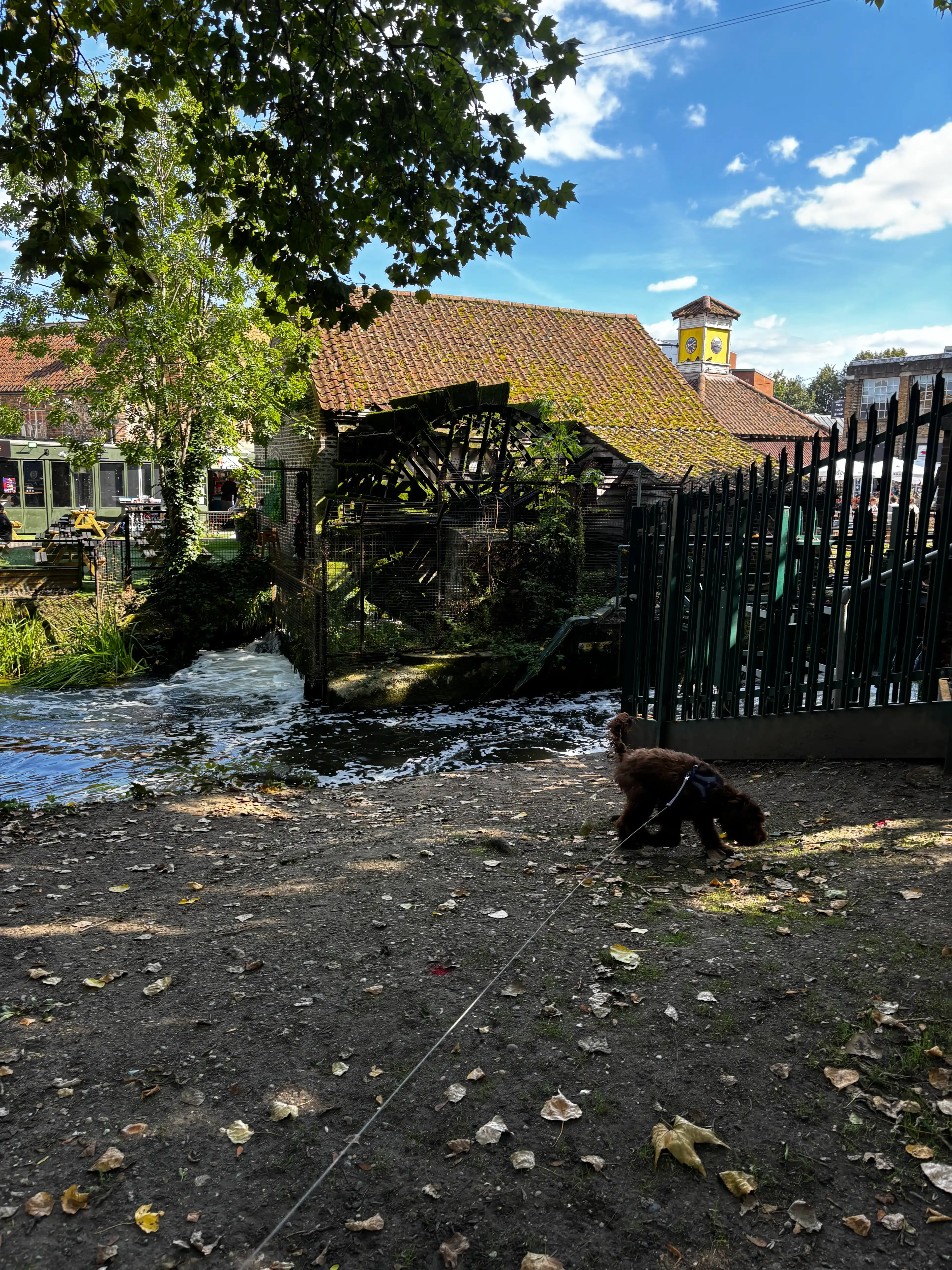 image-20