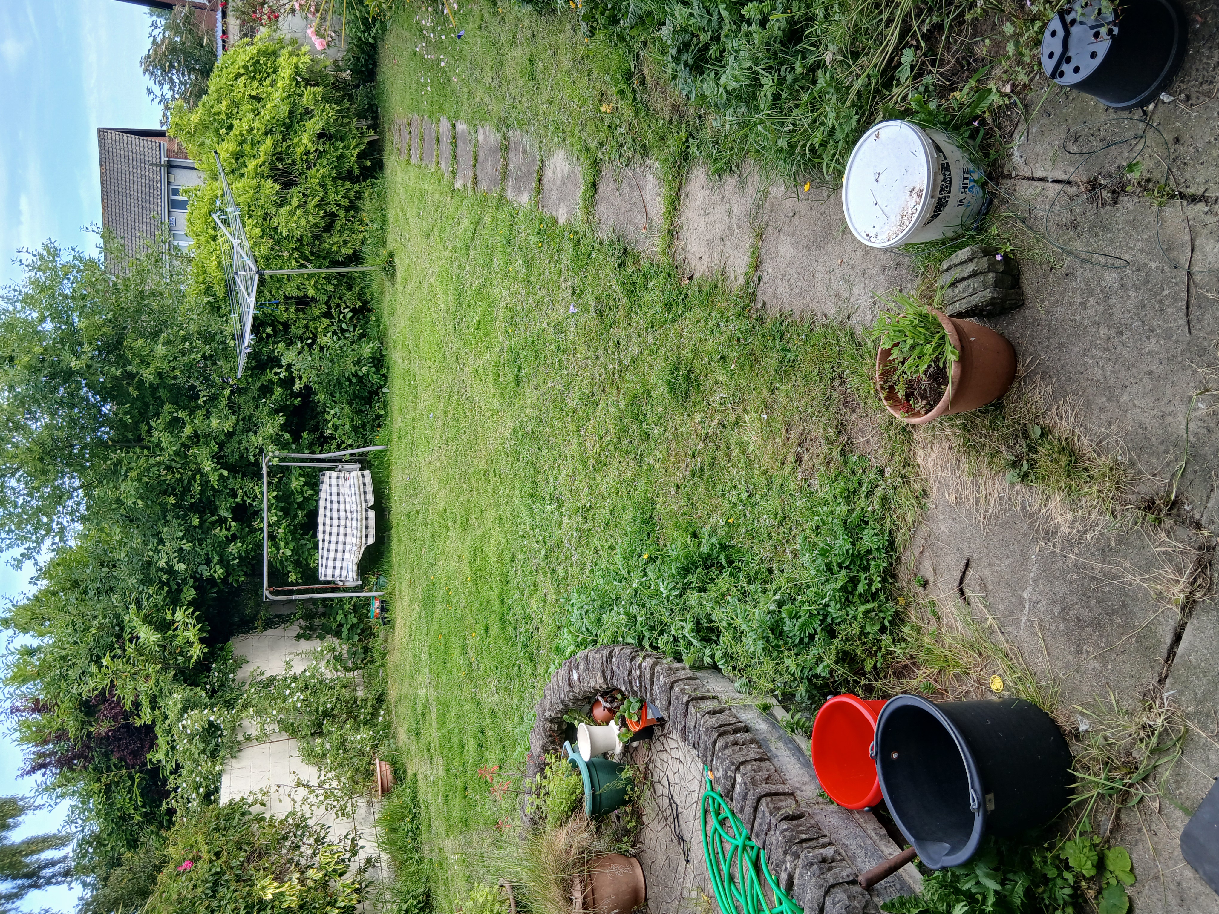 image-8