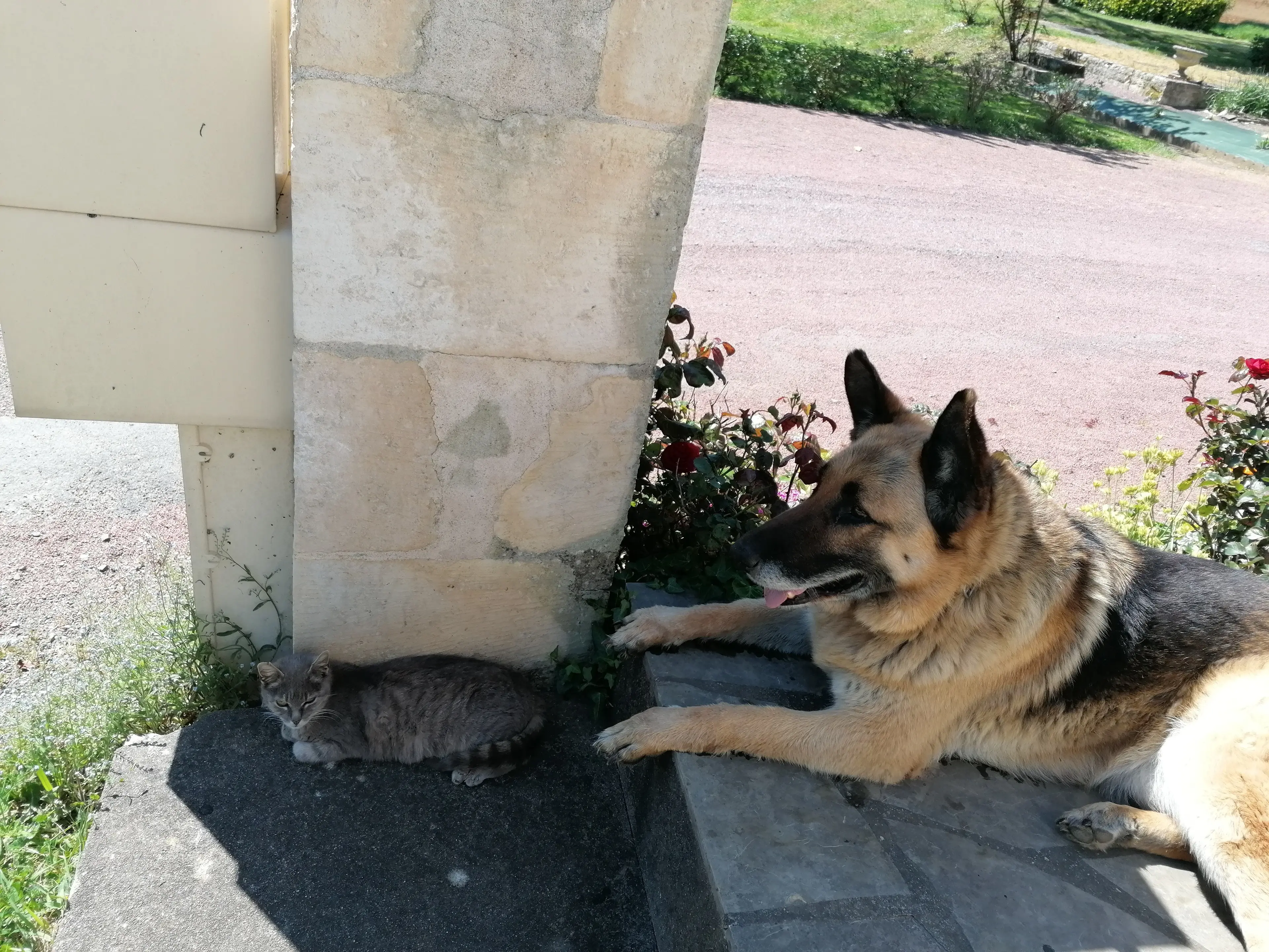 image-4