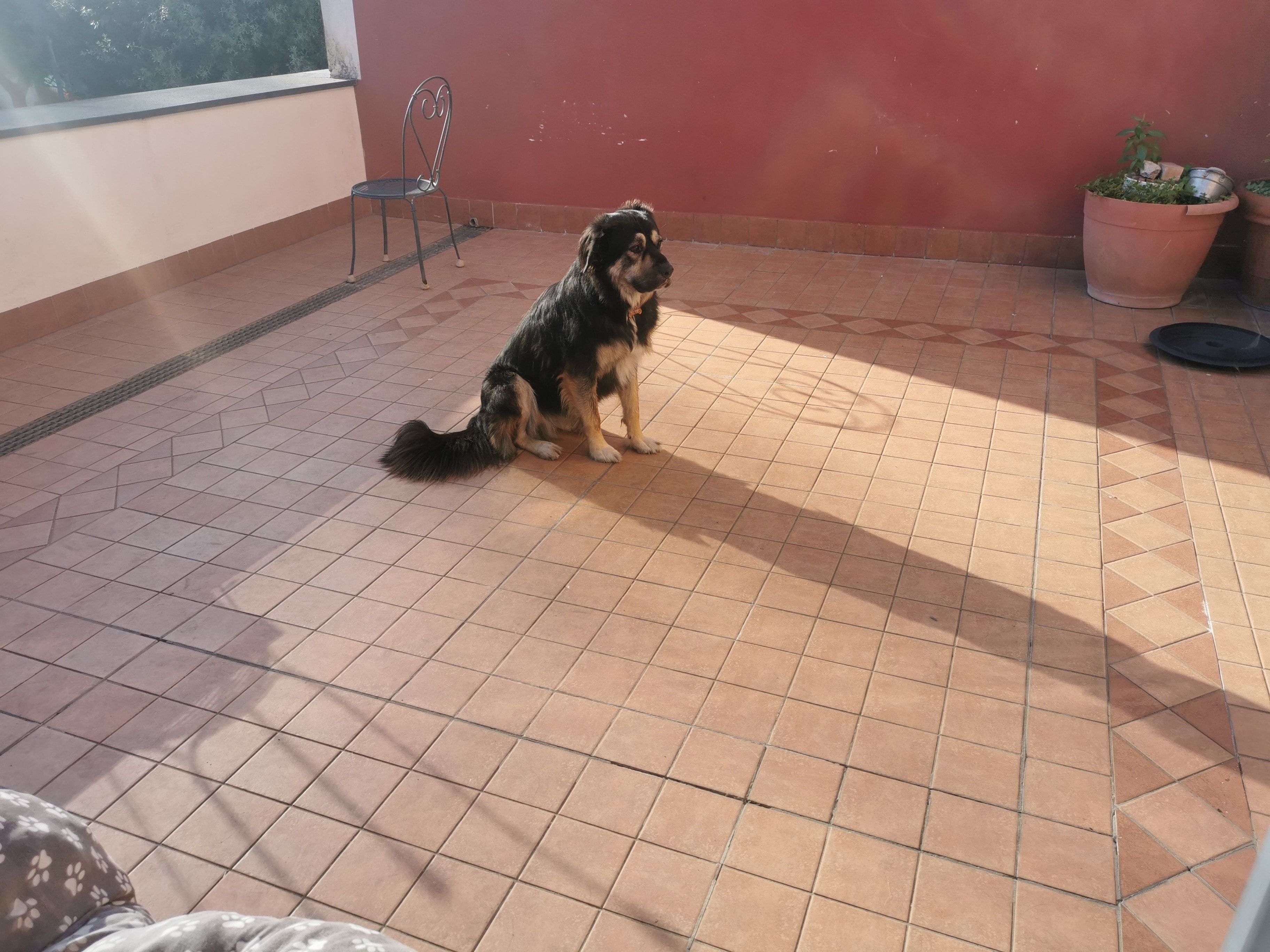 image-7