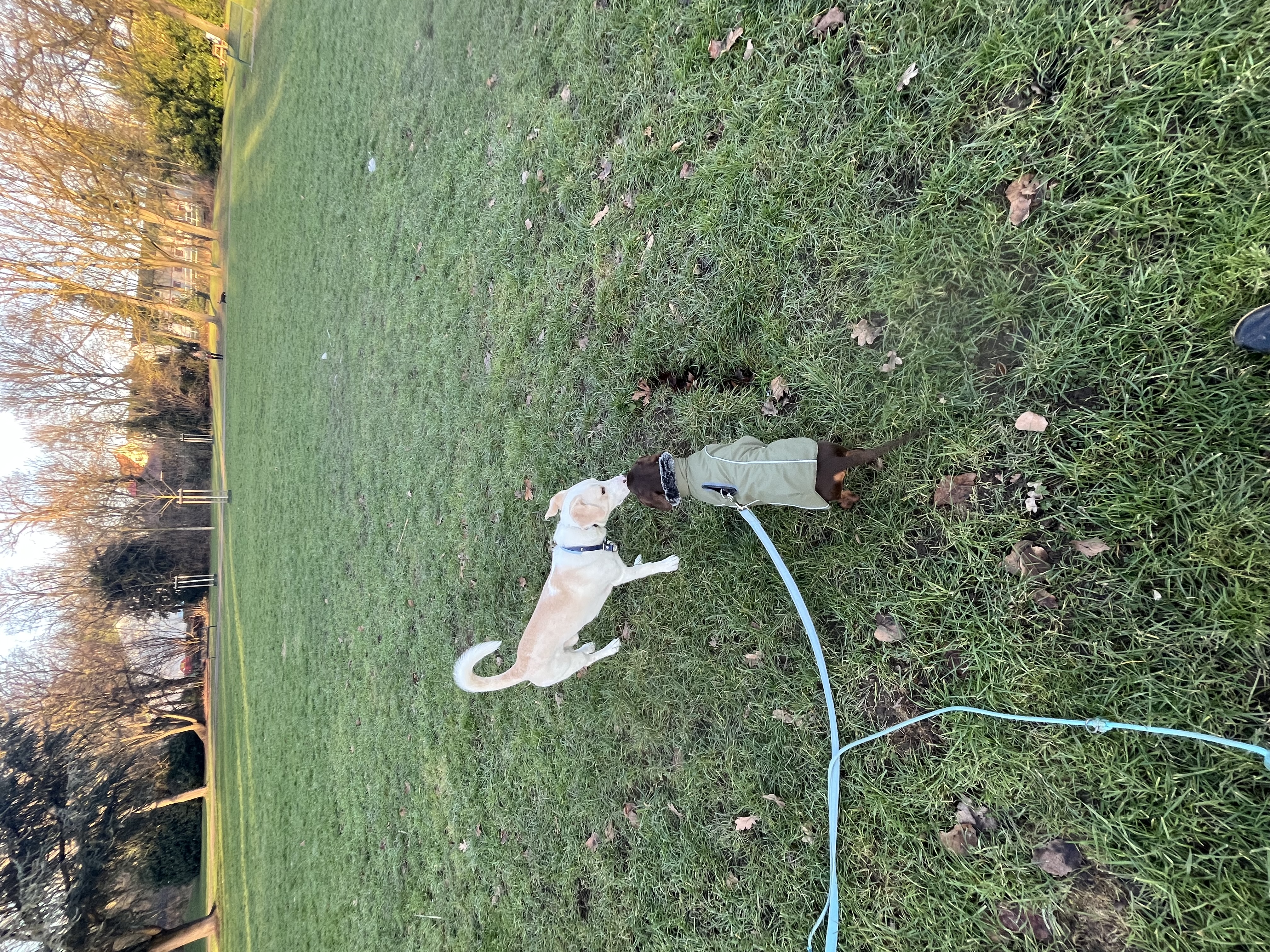 image-3
