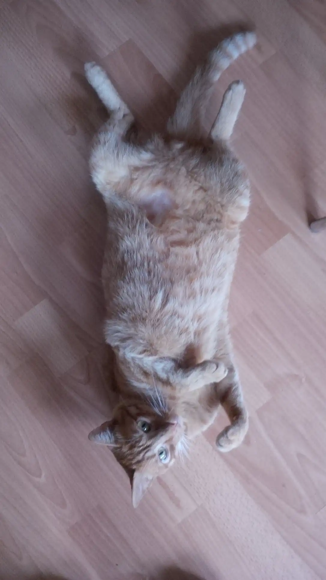 image-5