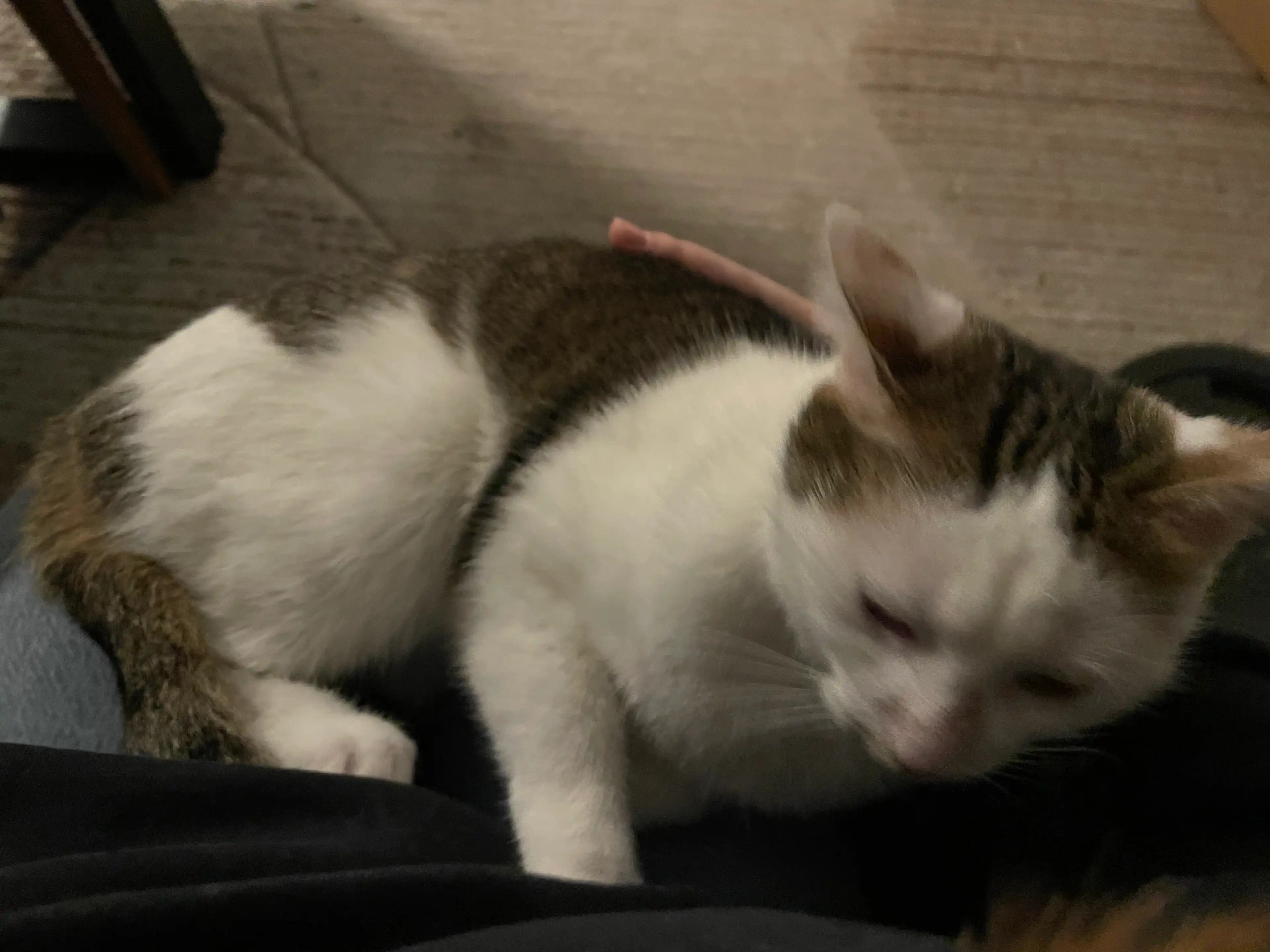 image-14