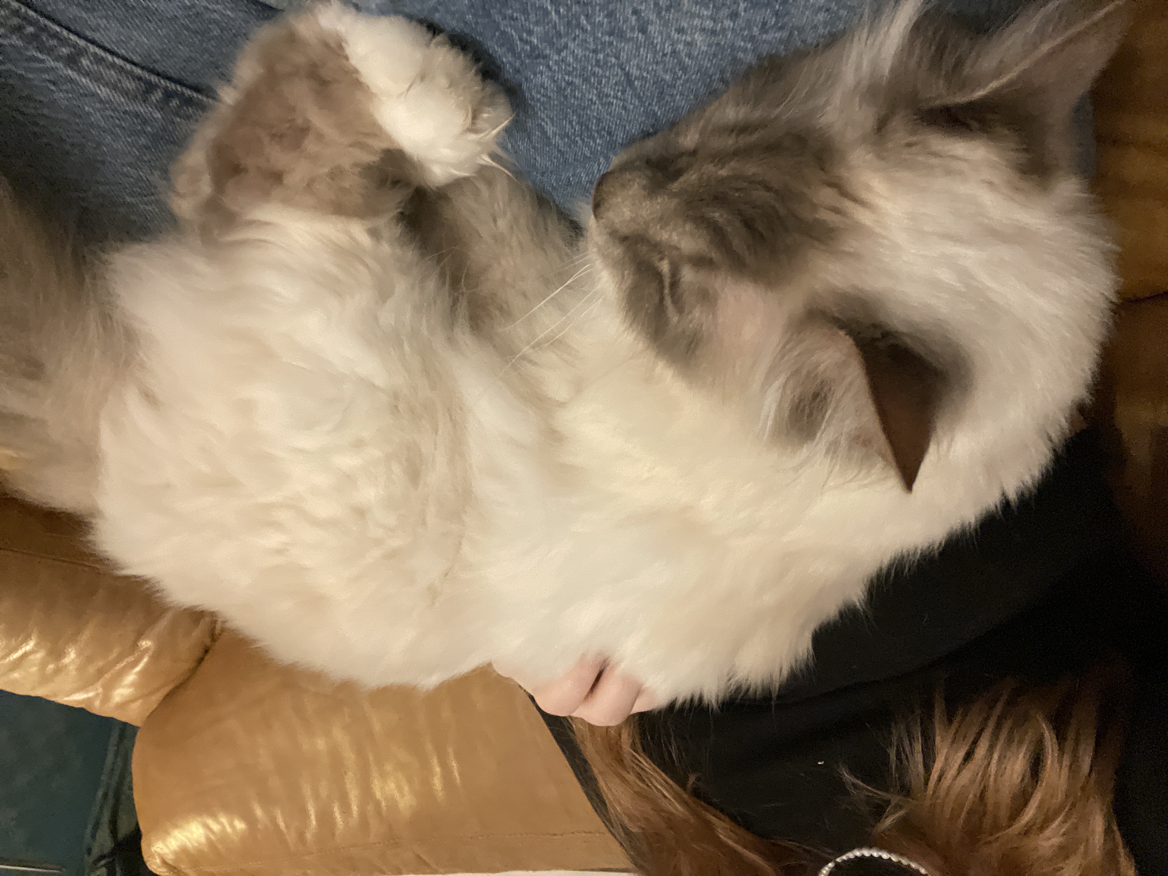 image-6