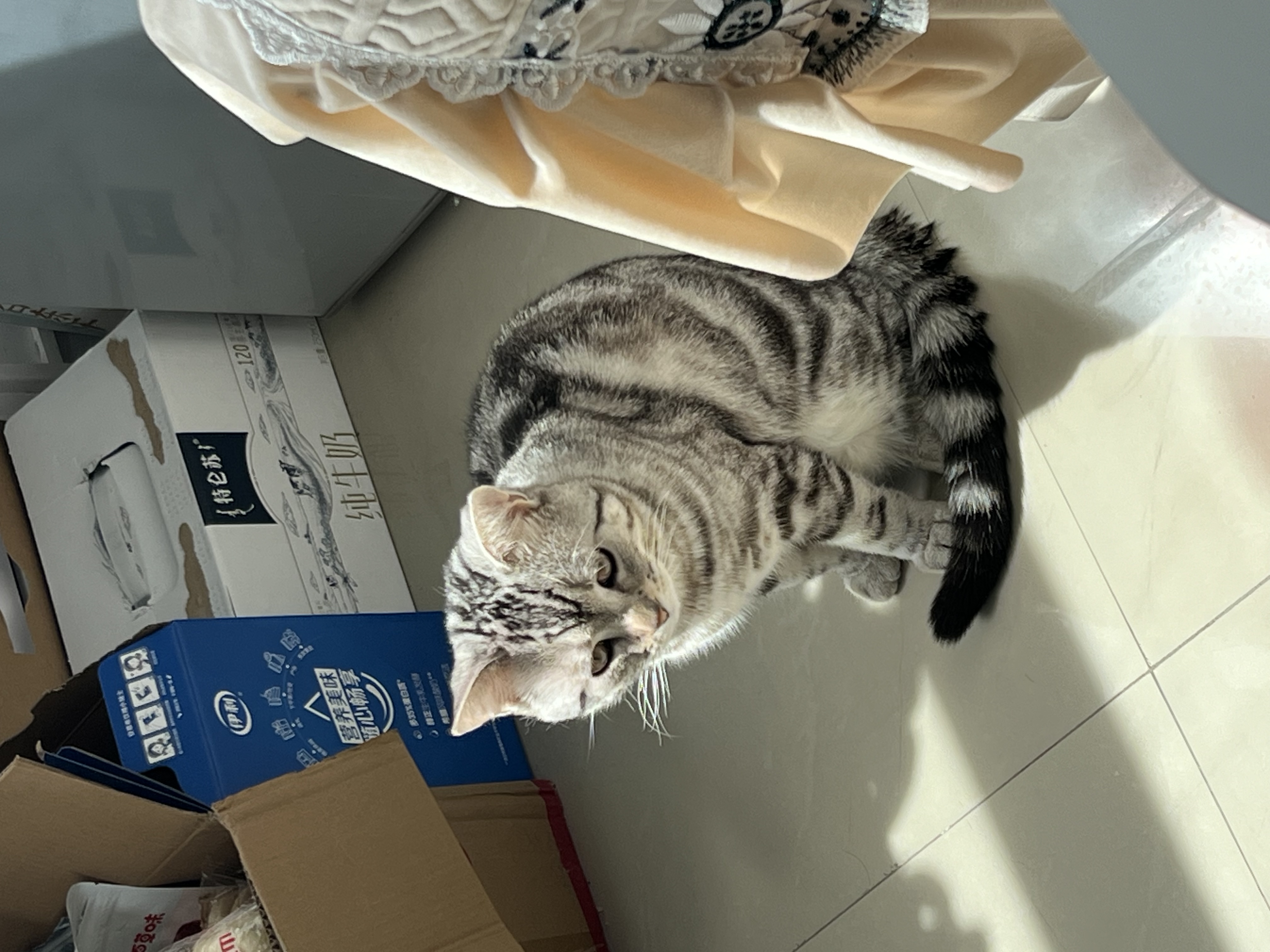 image-4