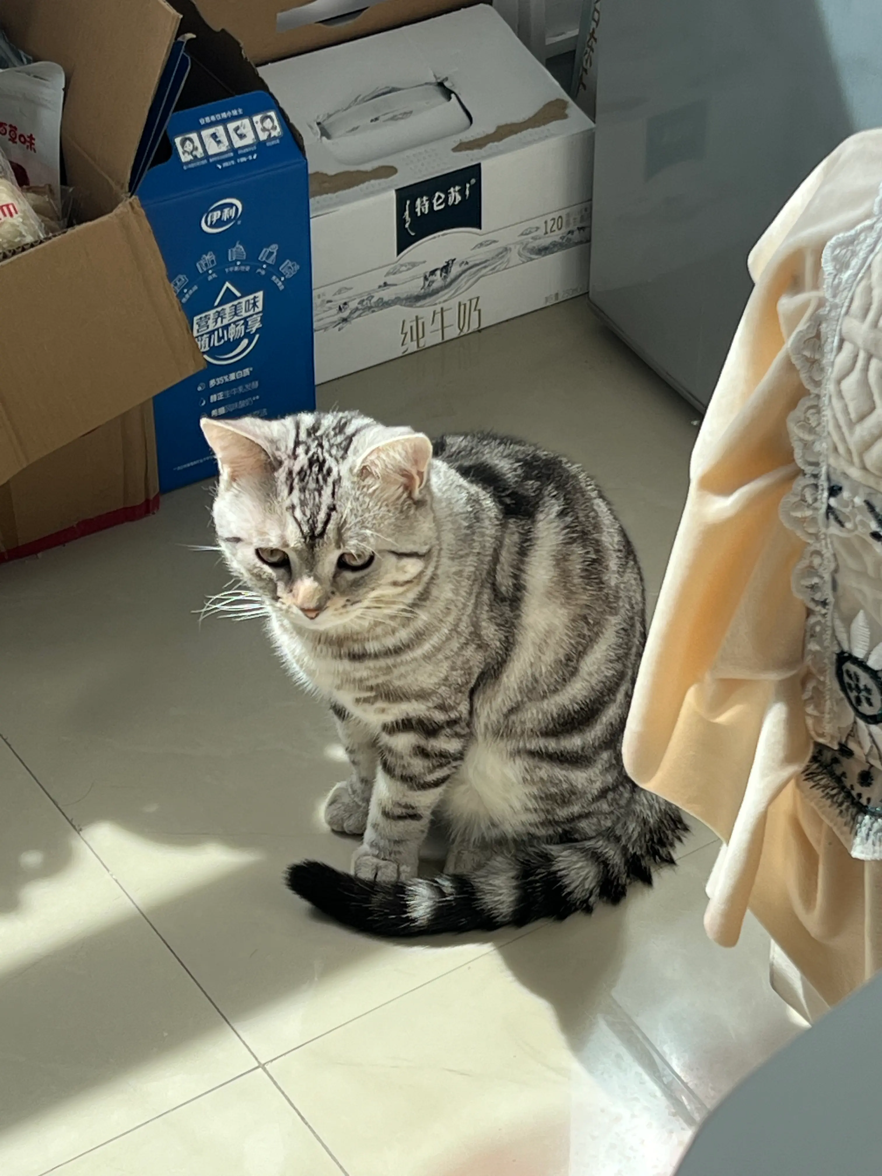 image-4