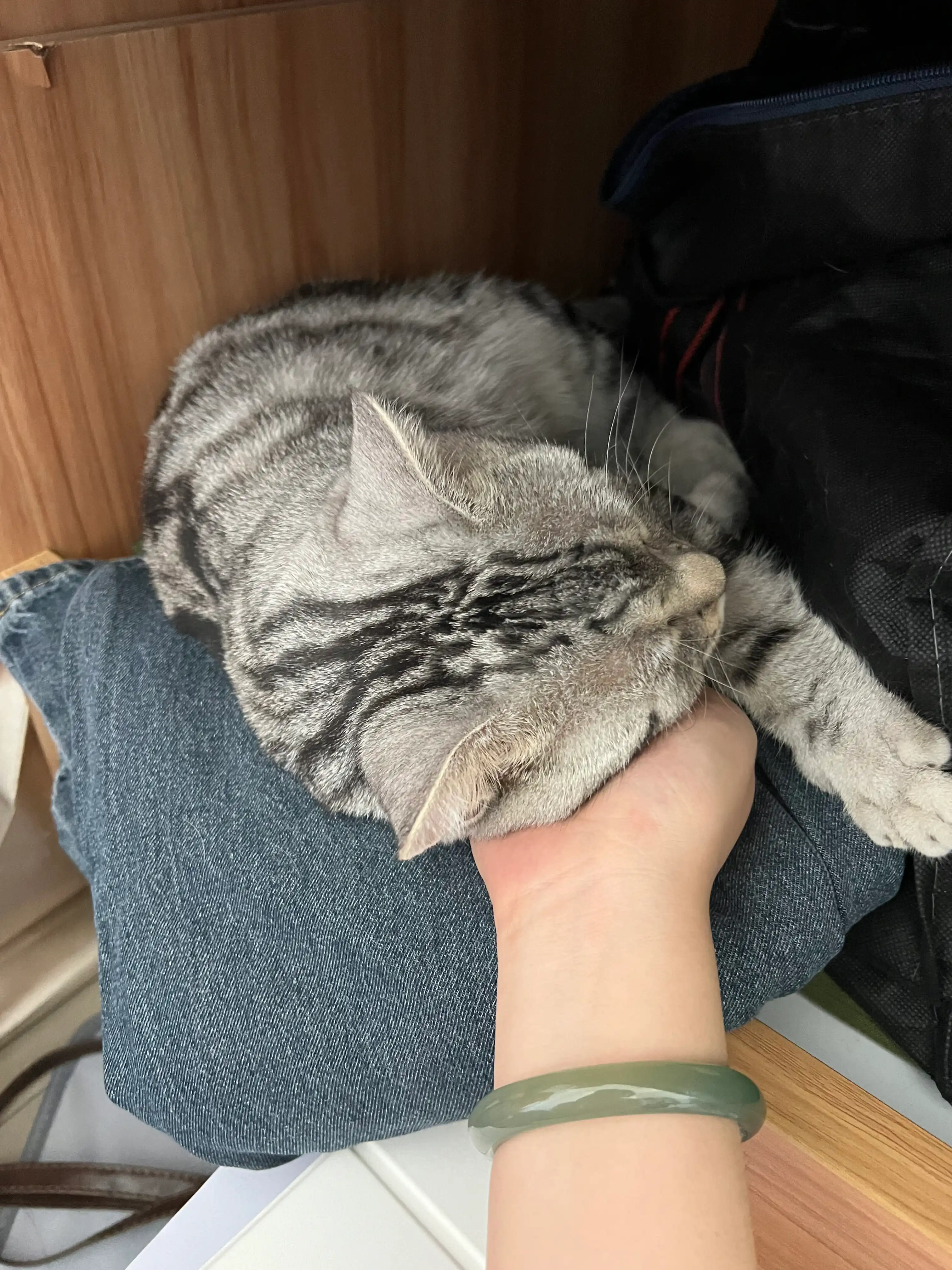 image-9