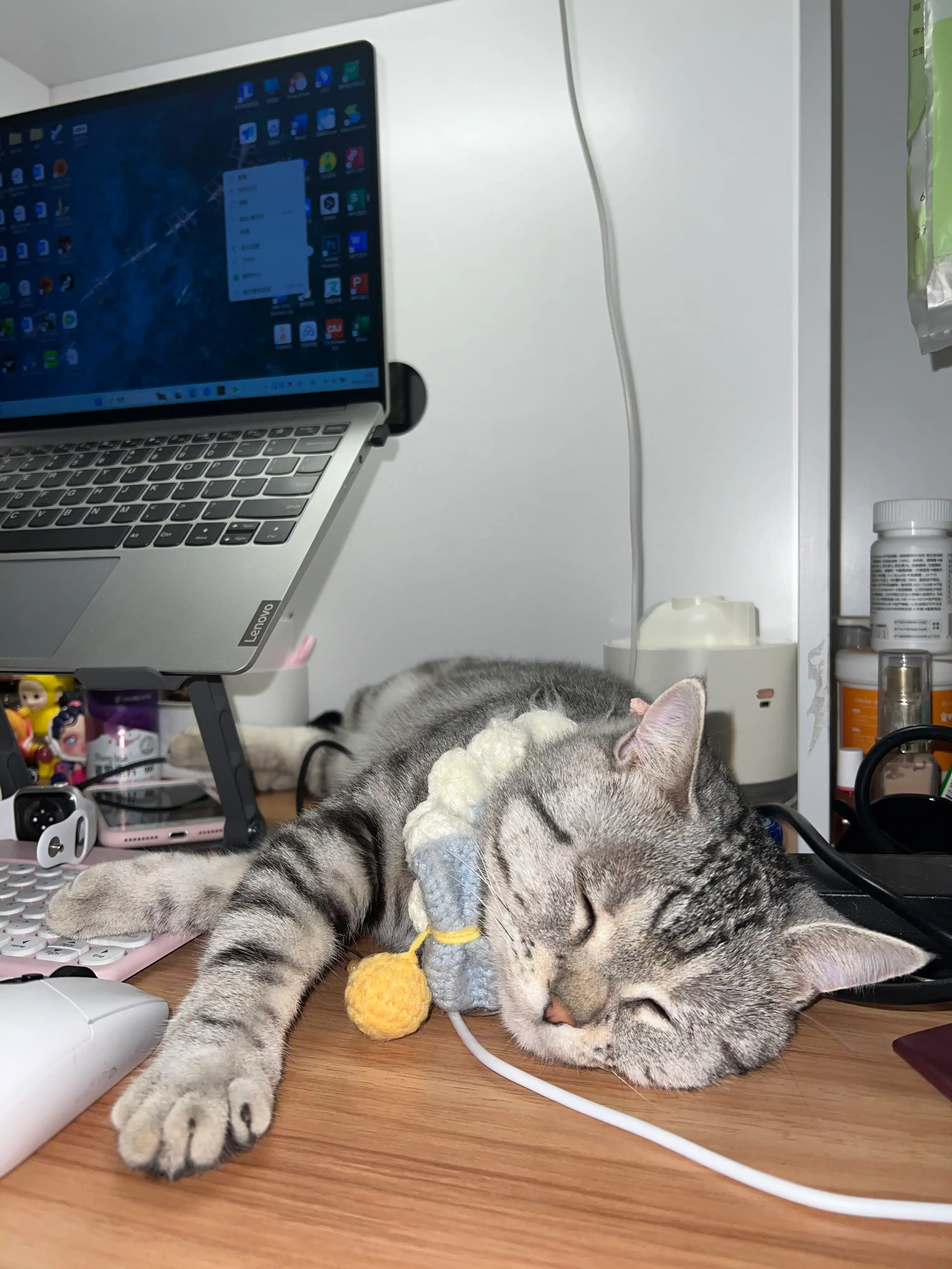 image-6