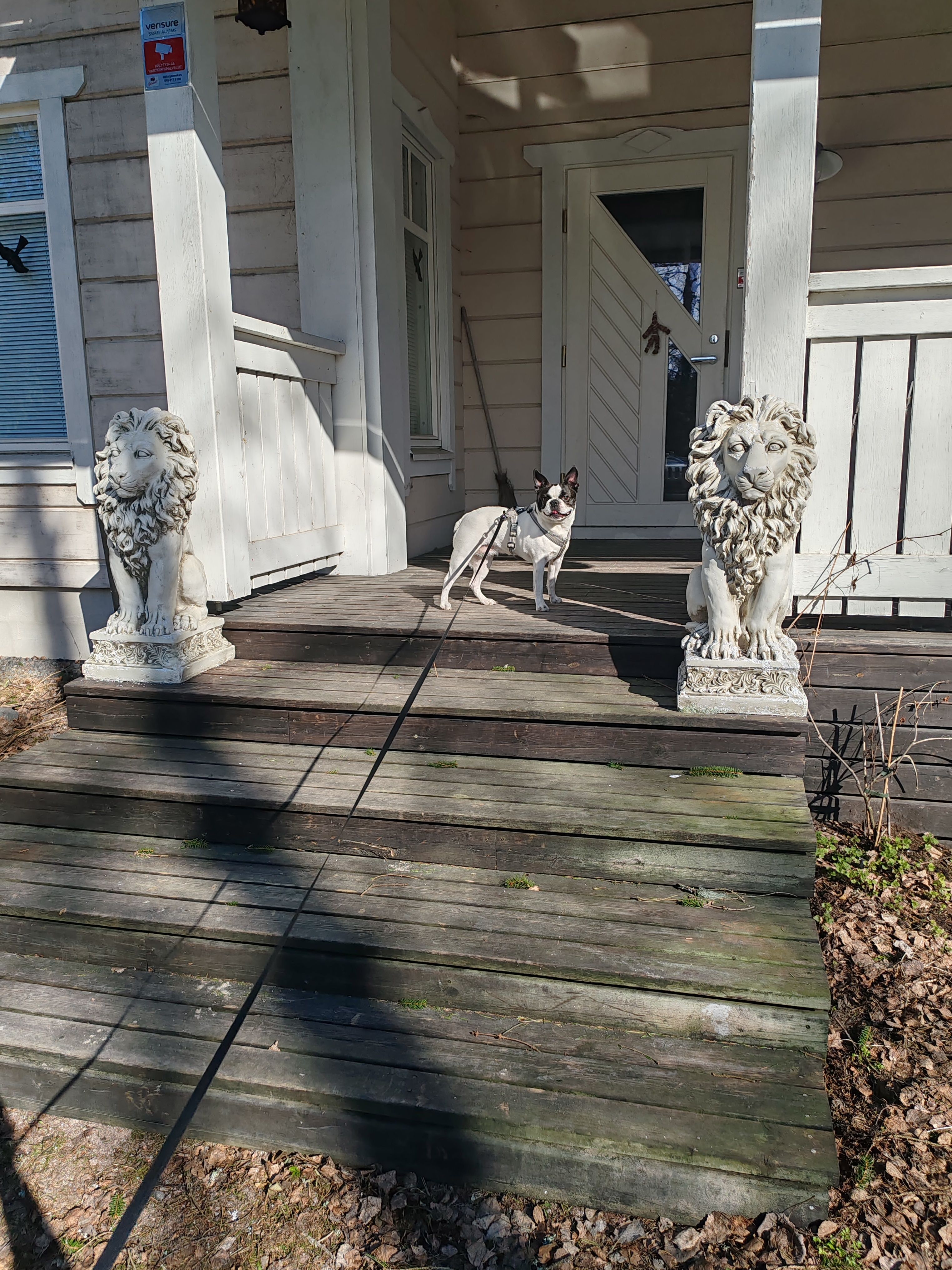 image-5