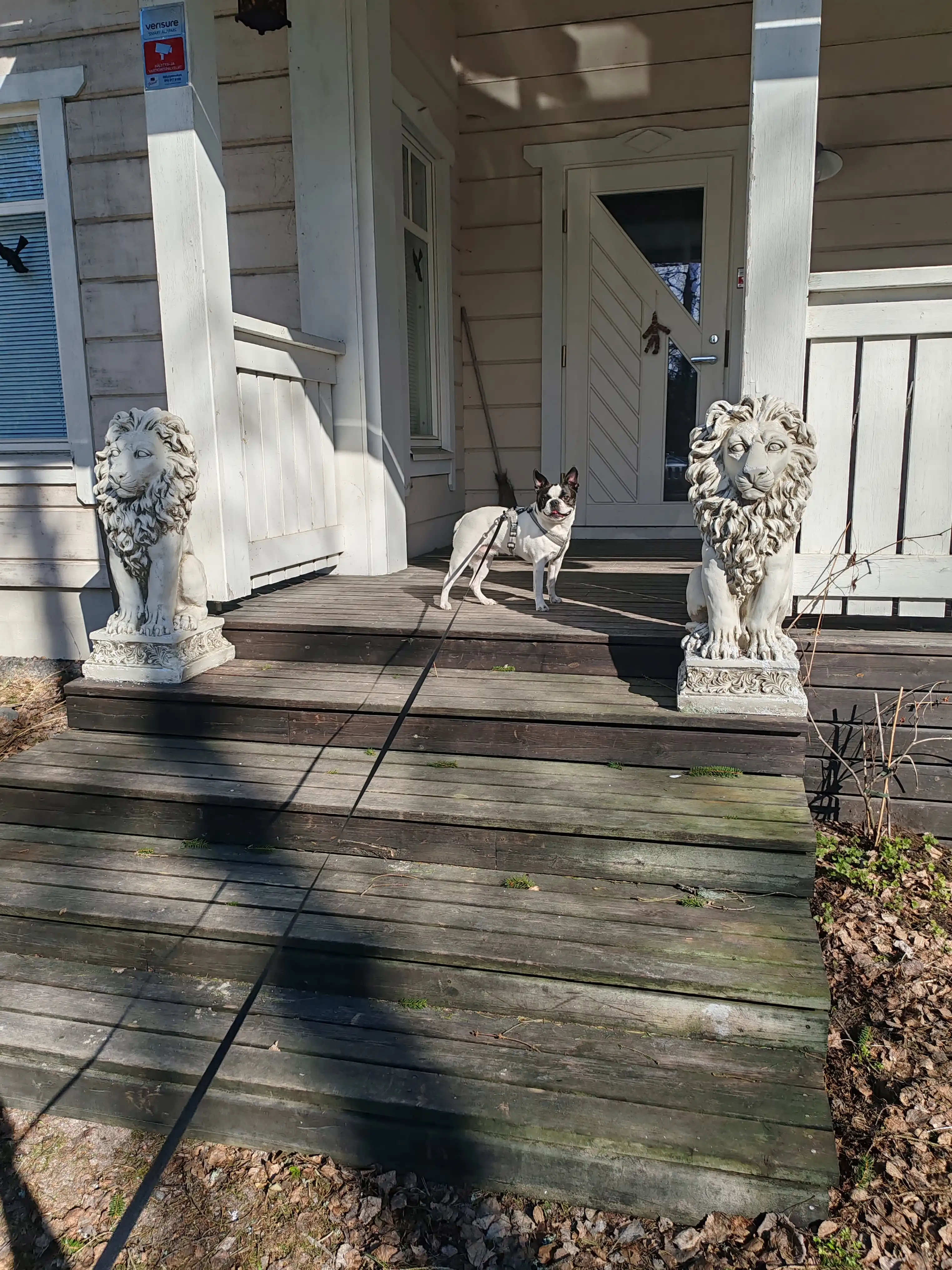 image-5