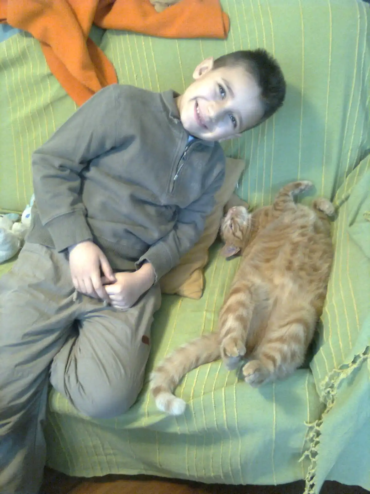 image-8