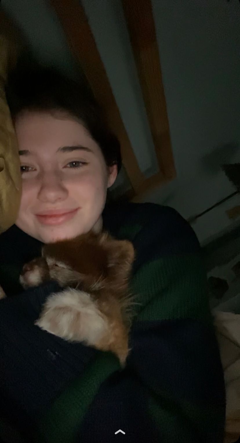 image-7