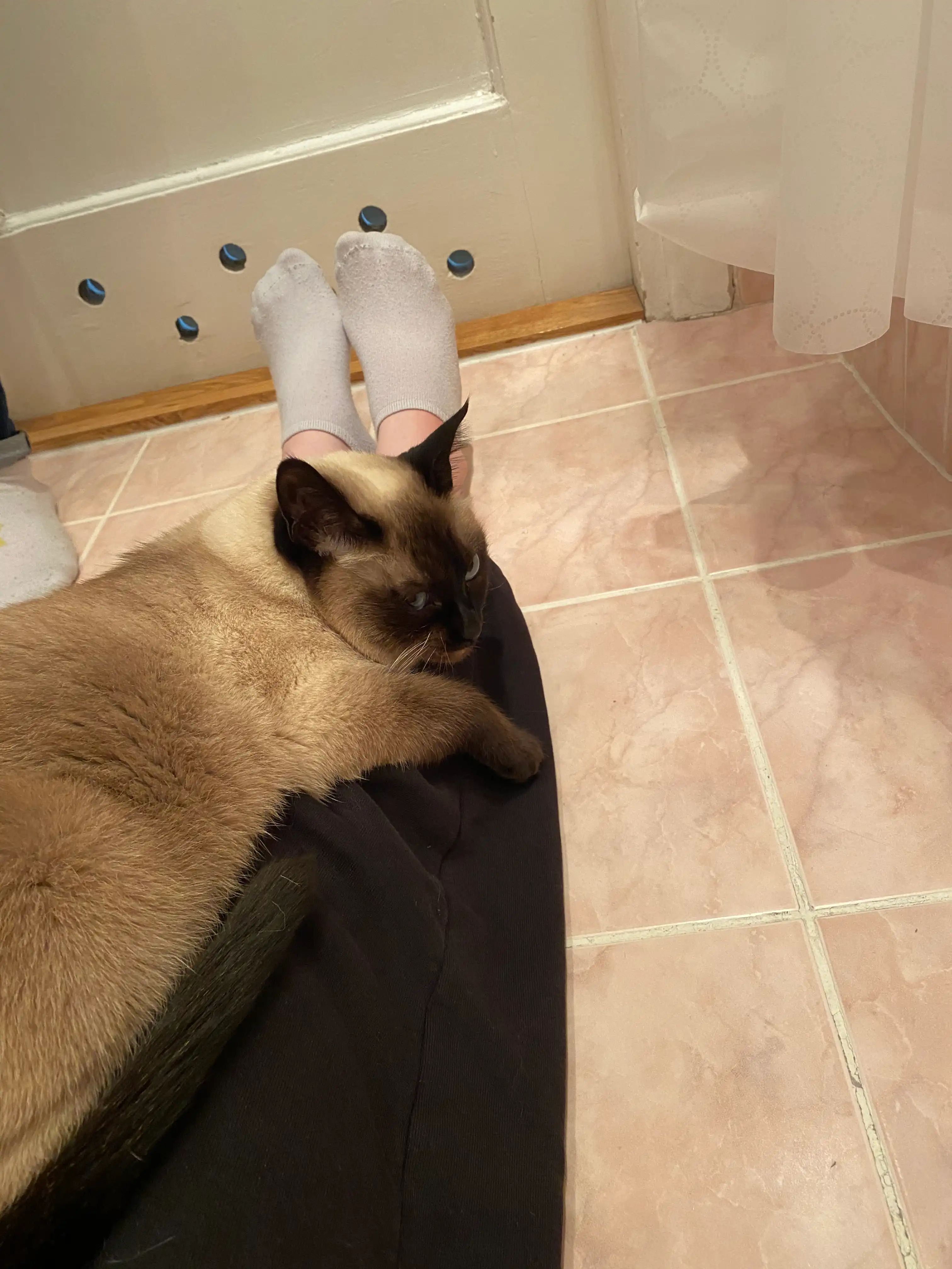 image-8