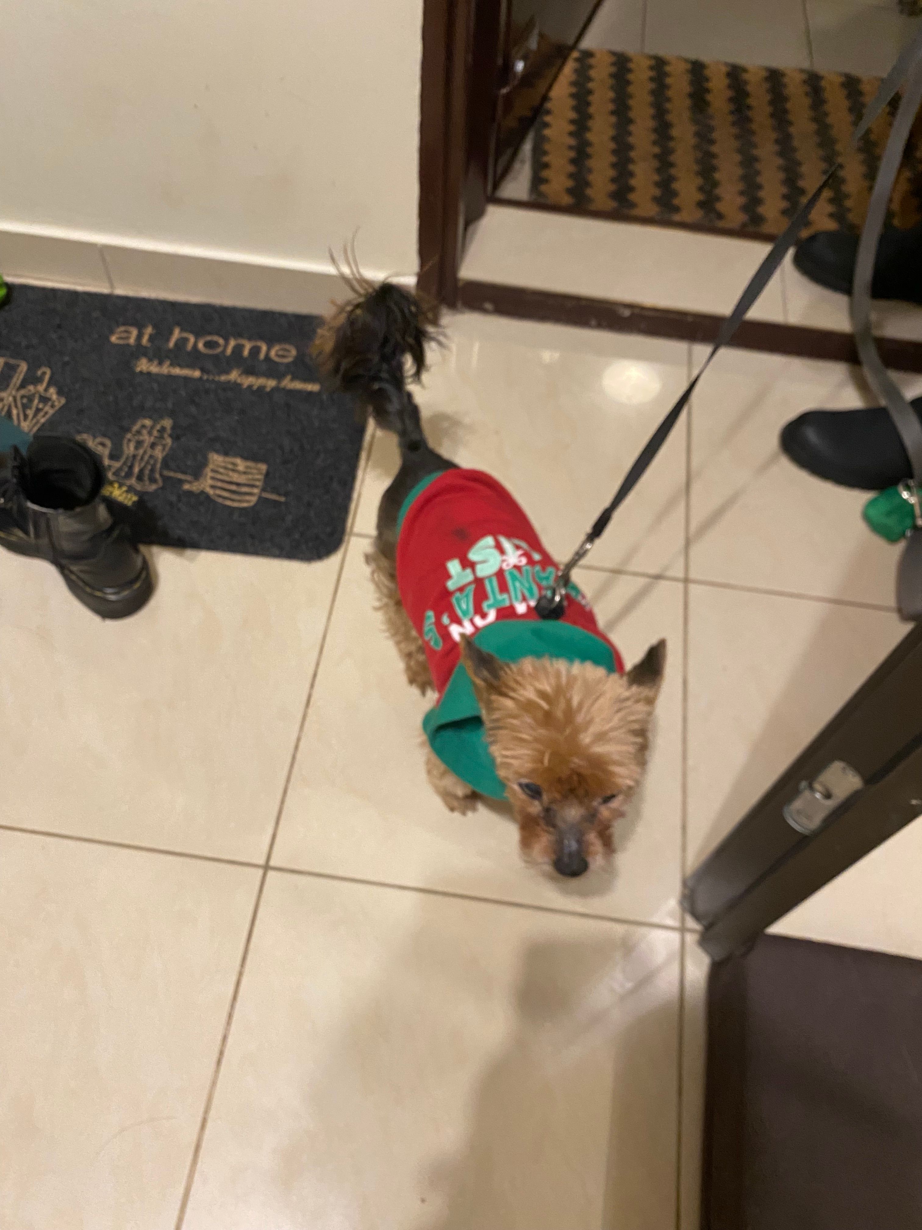 image-10