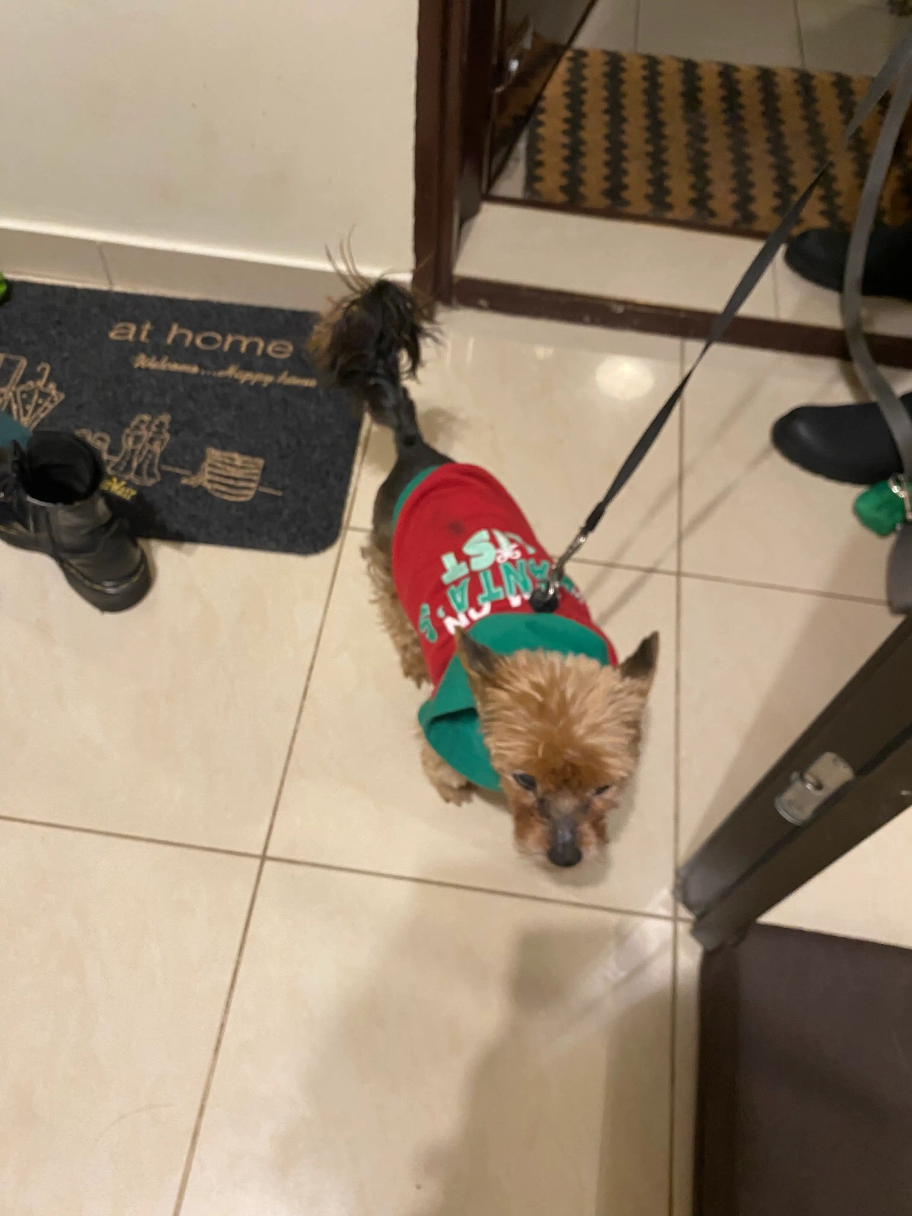 image-10