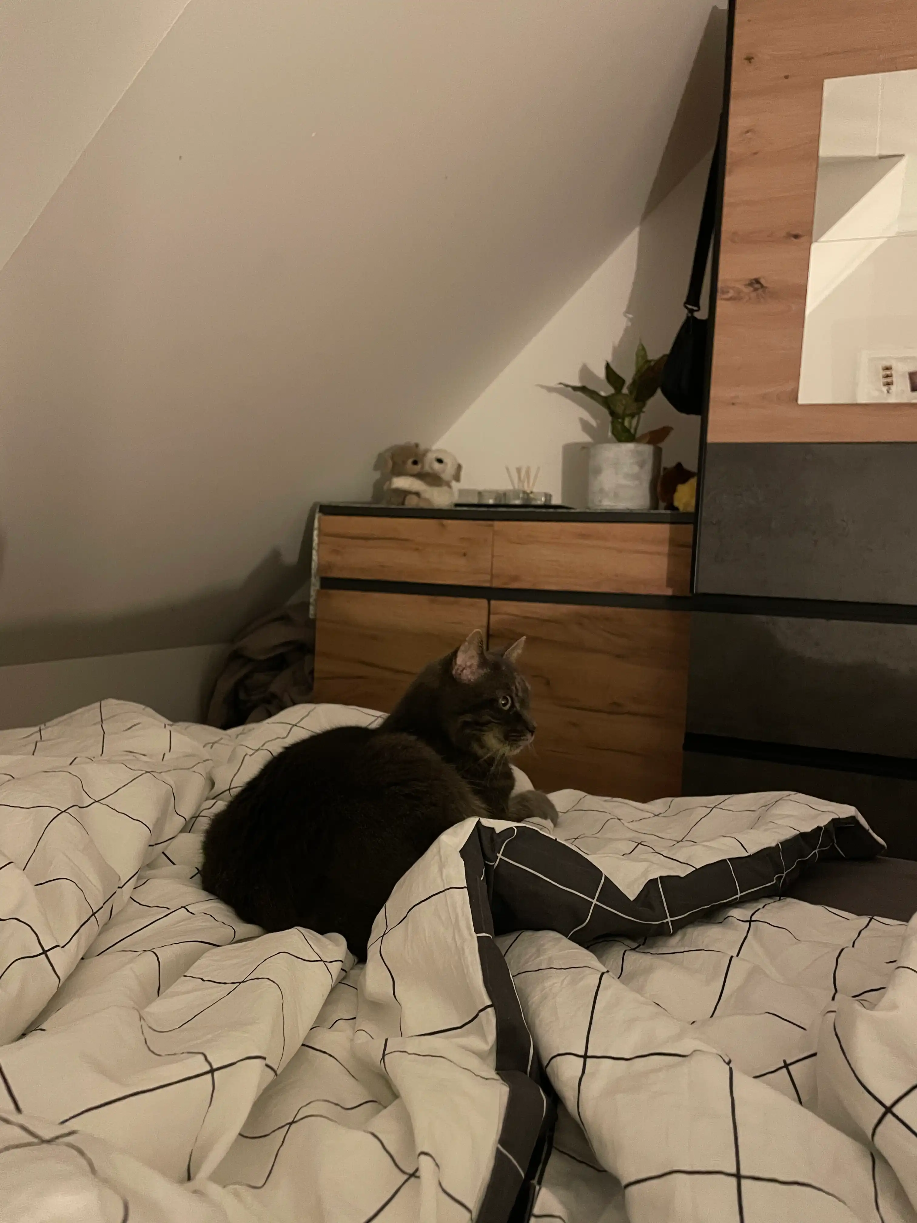 image-14