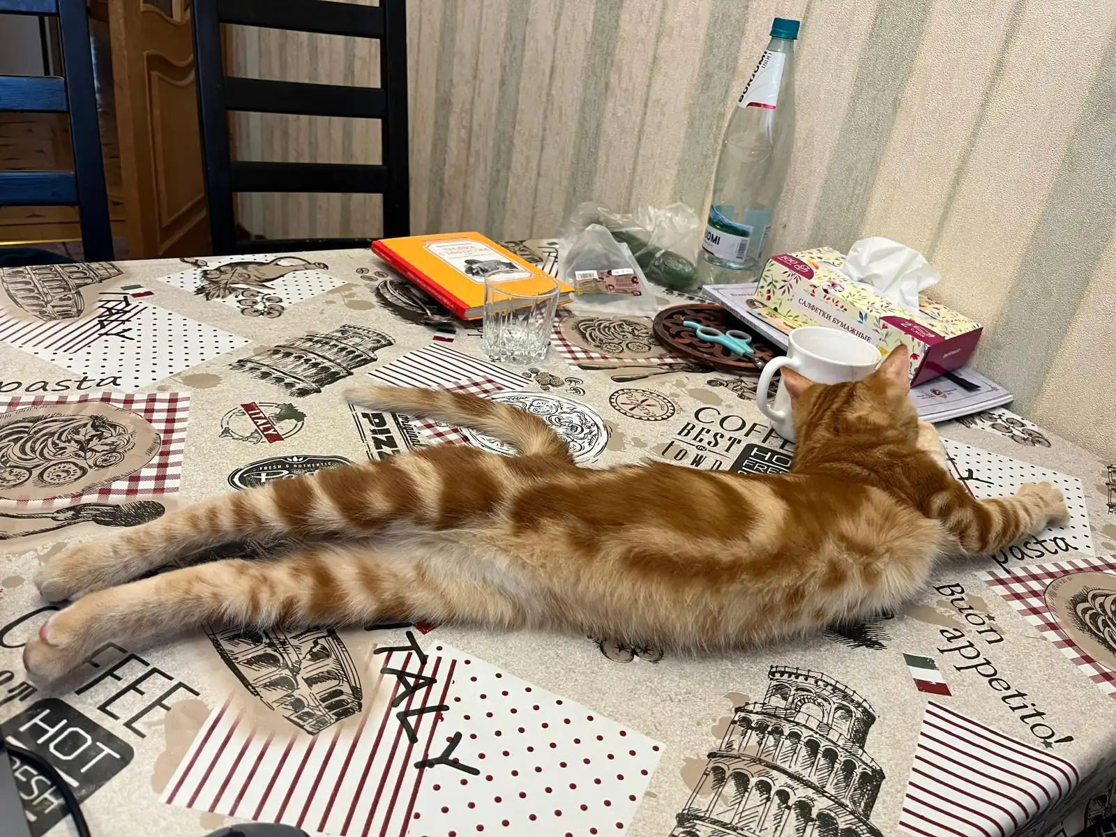 image-10