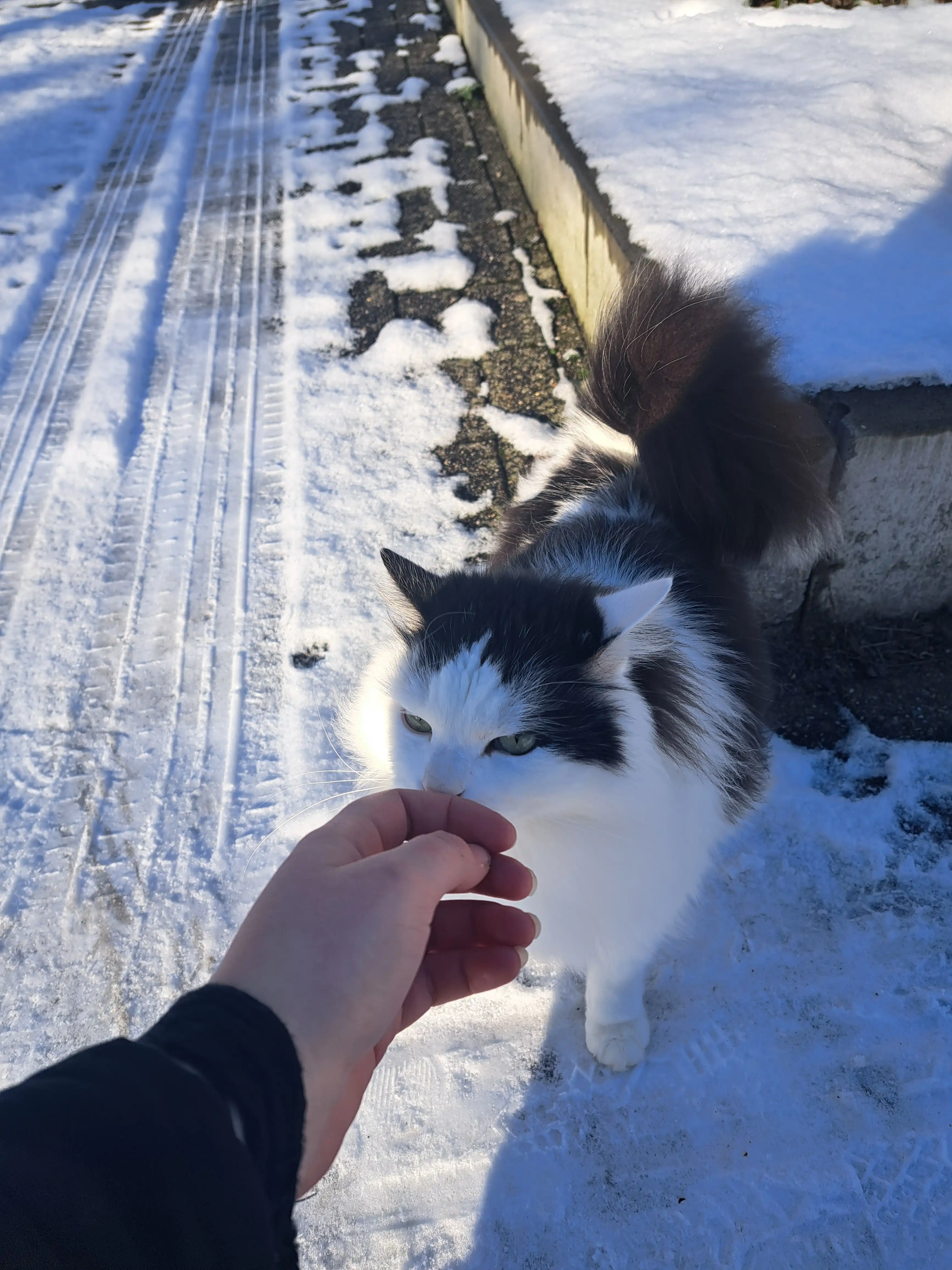 image-10