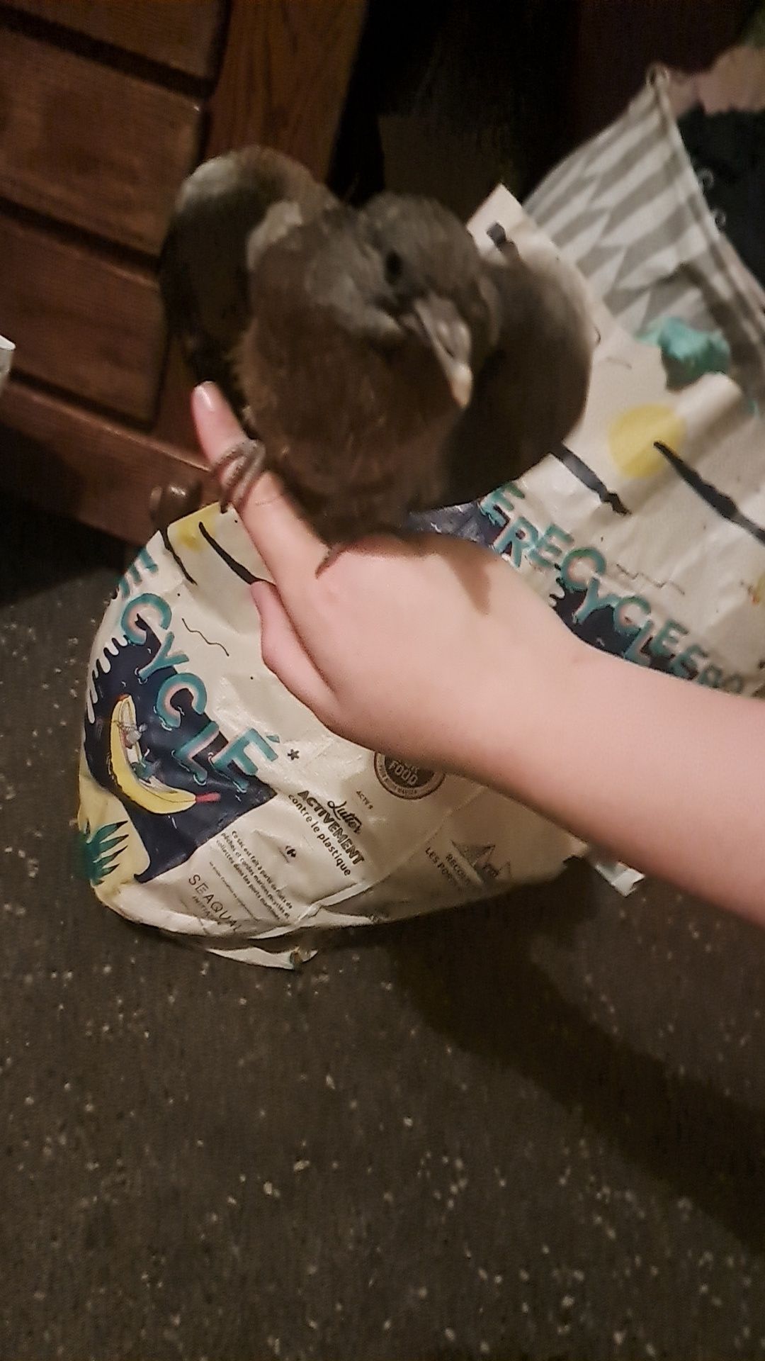 image-7