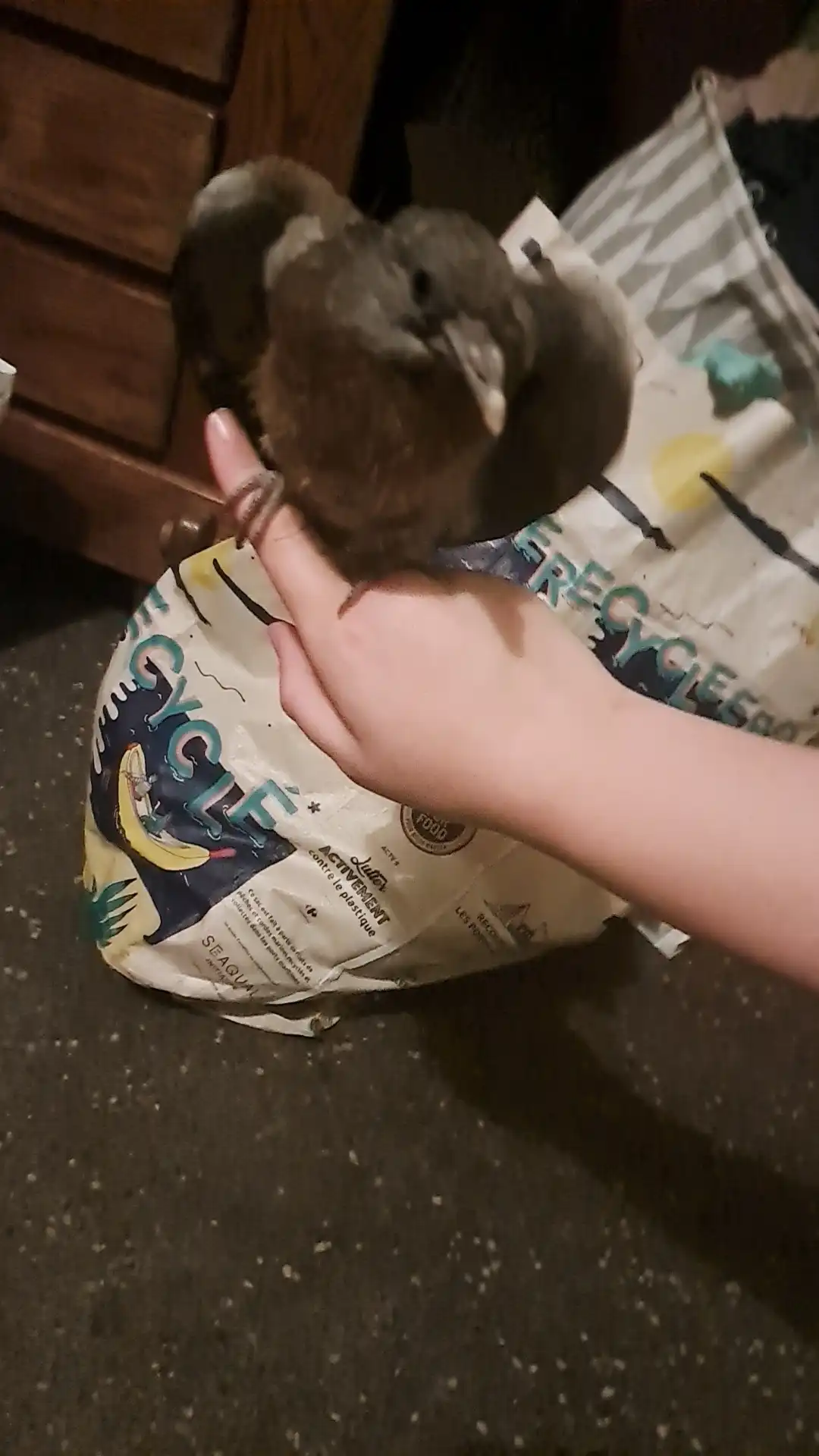 image-7