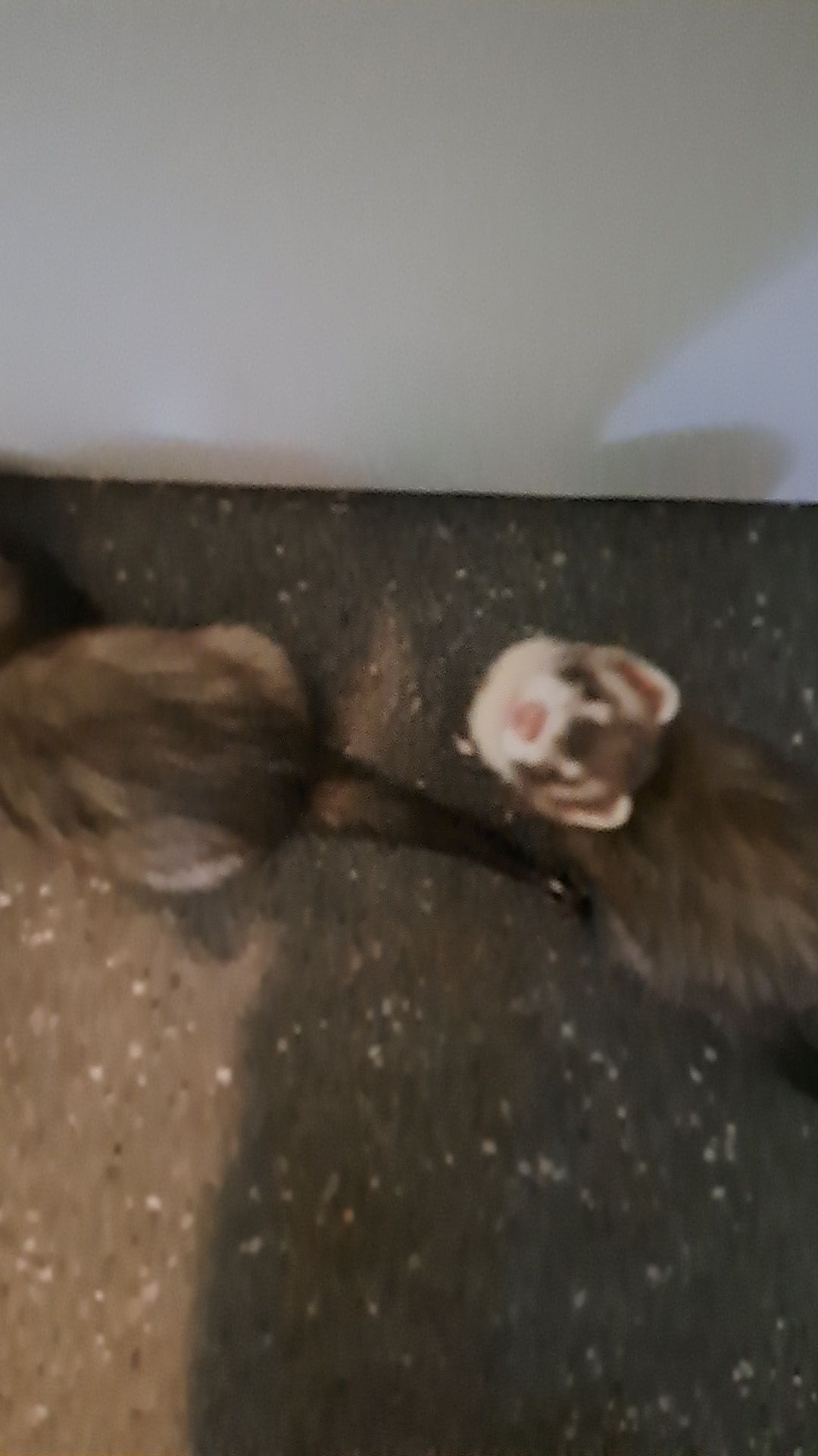image-6