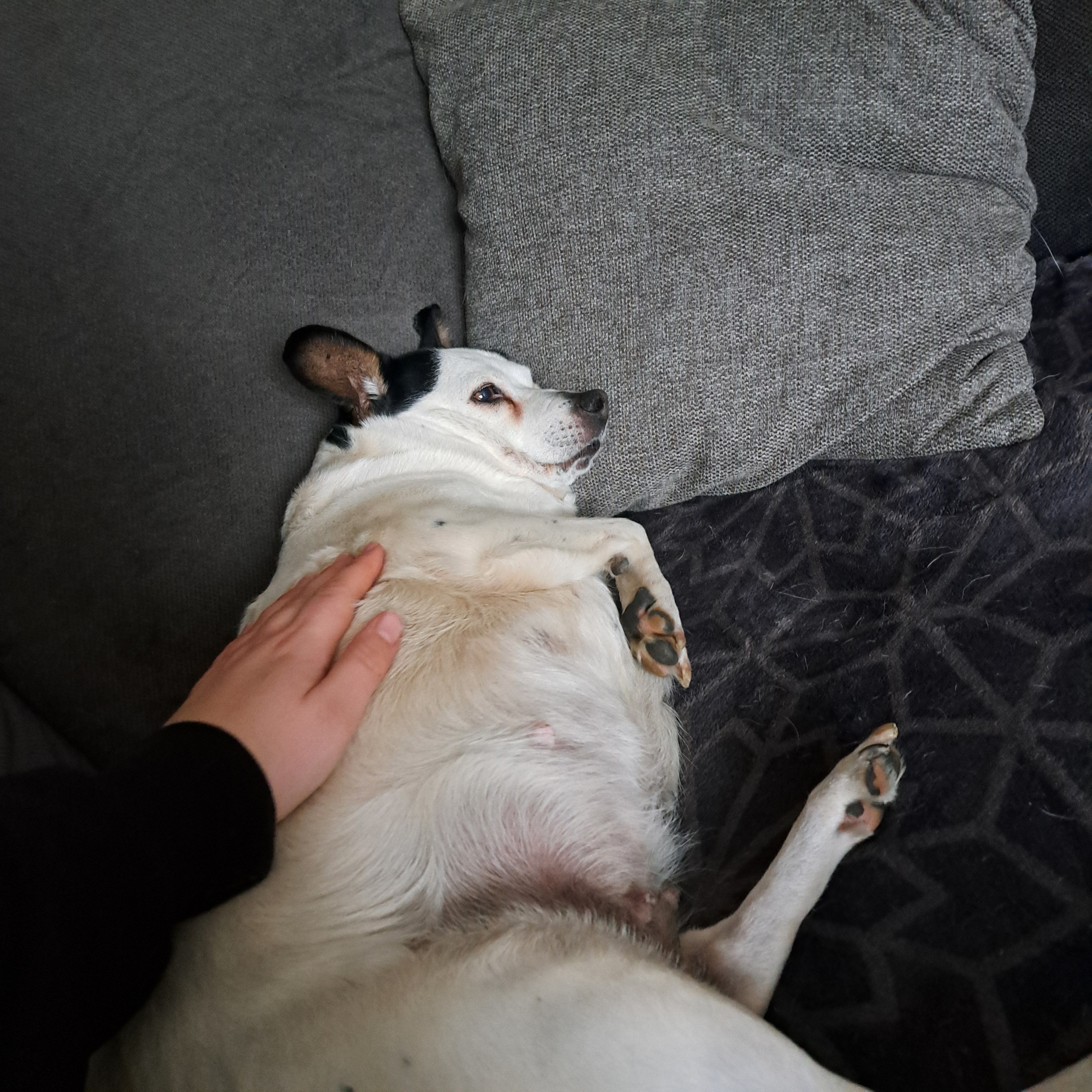 image-9