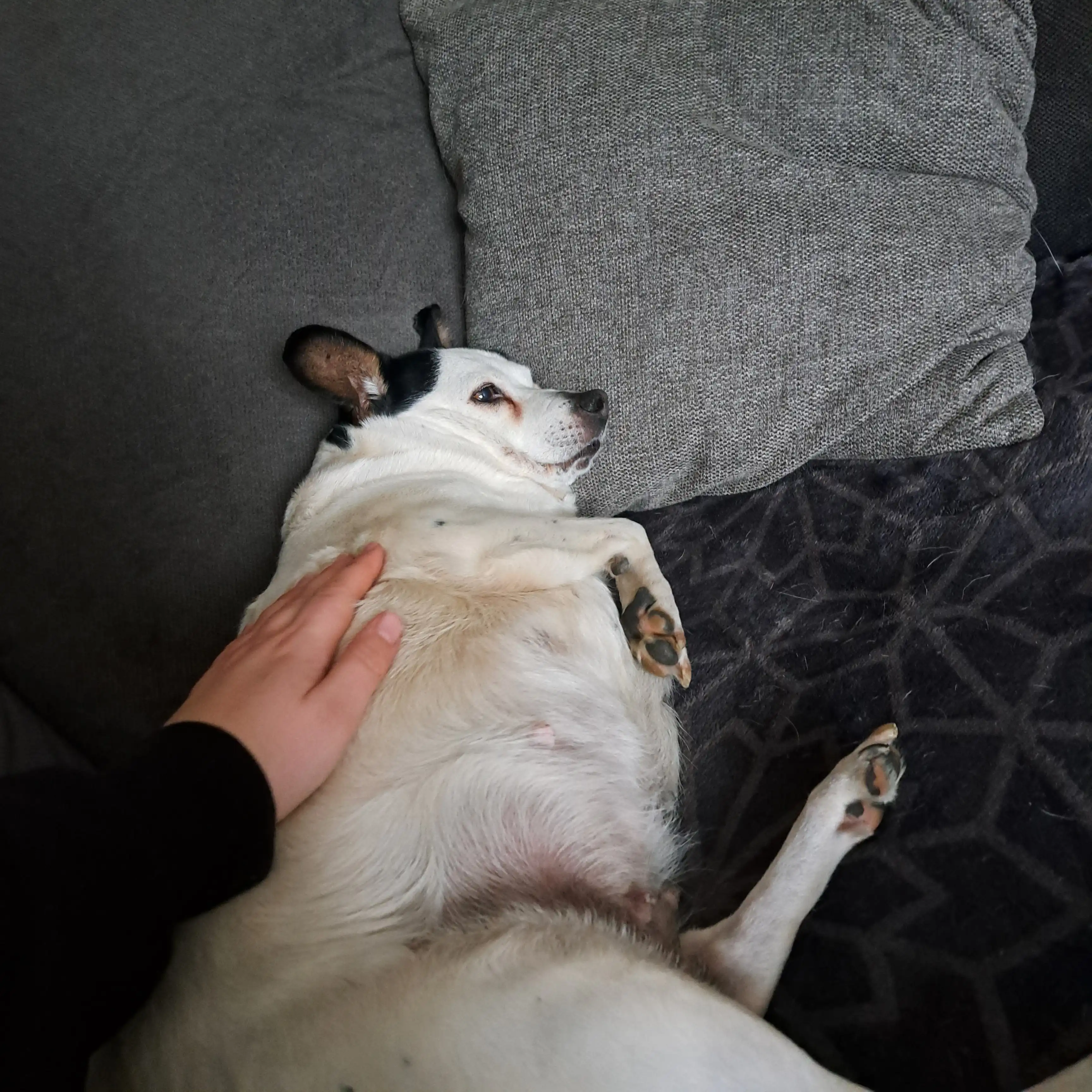 image-9