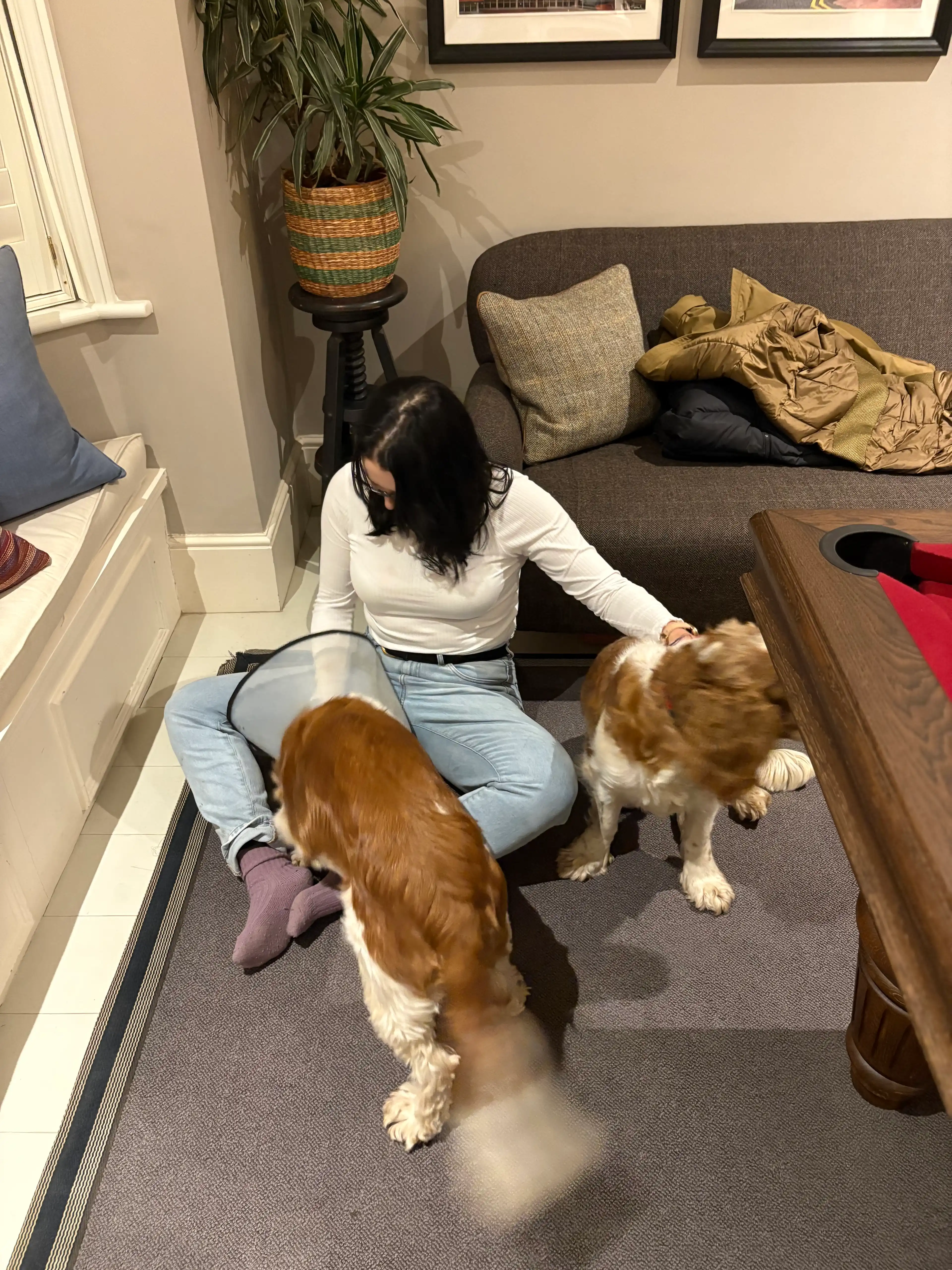 image-16
