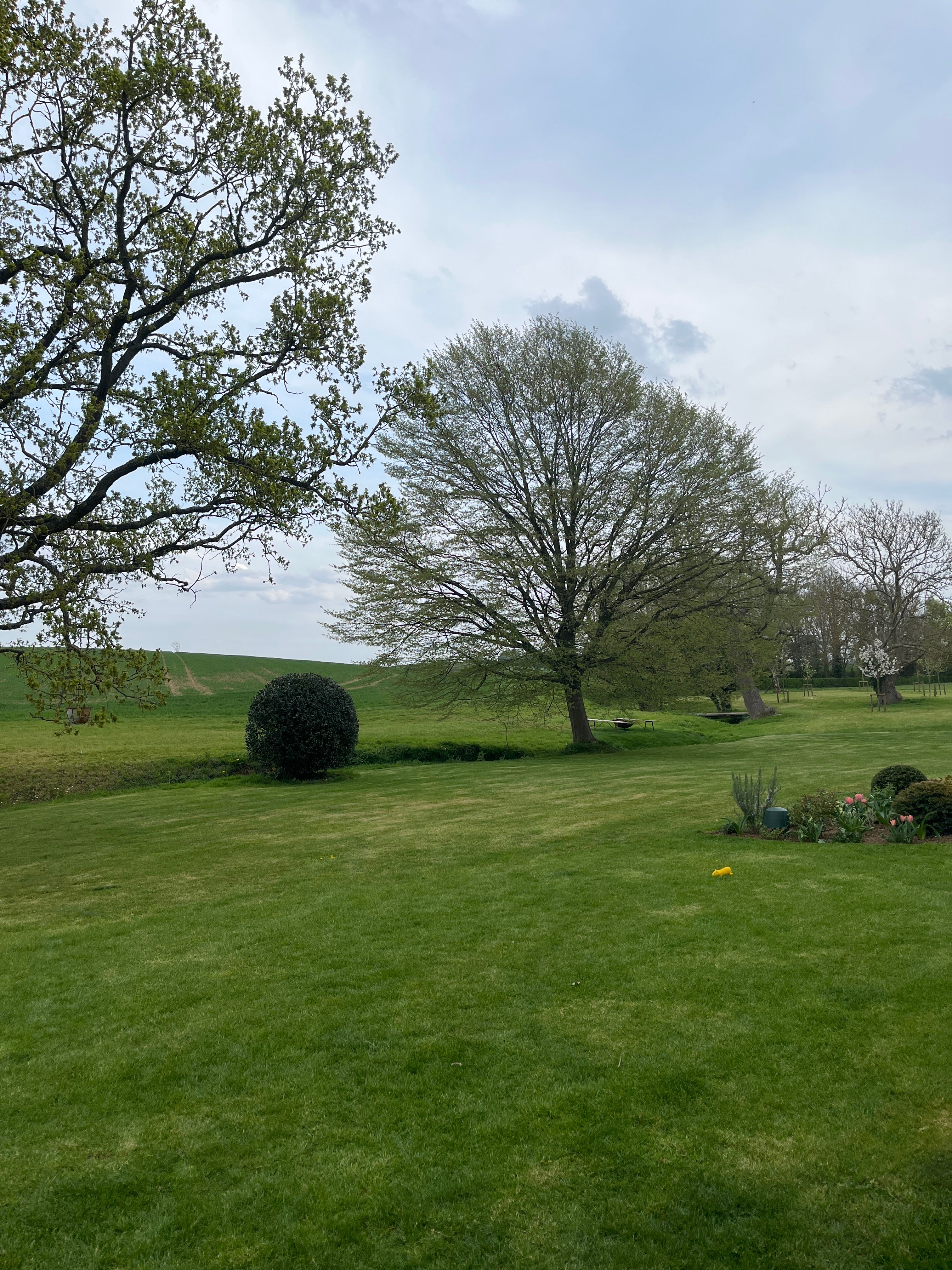image-7