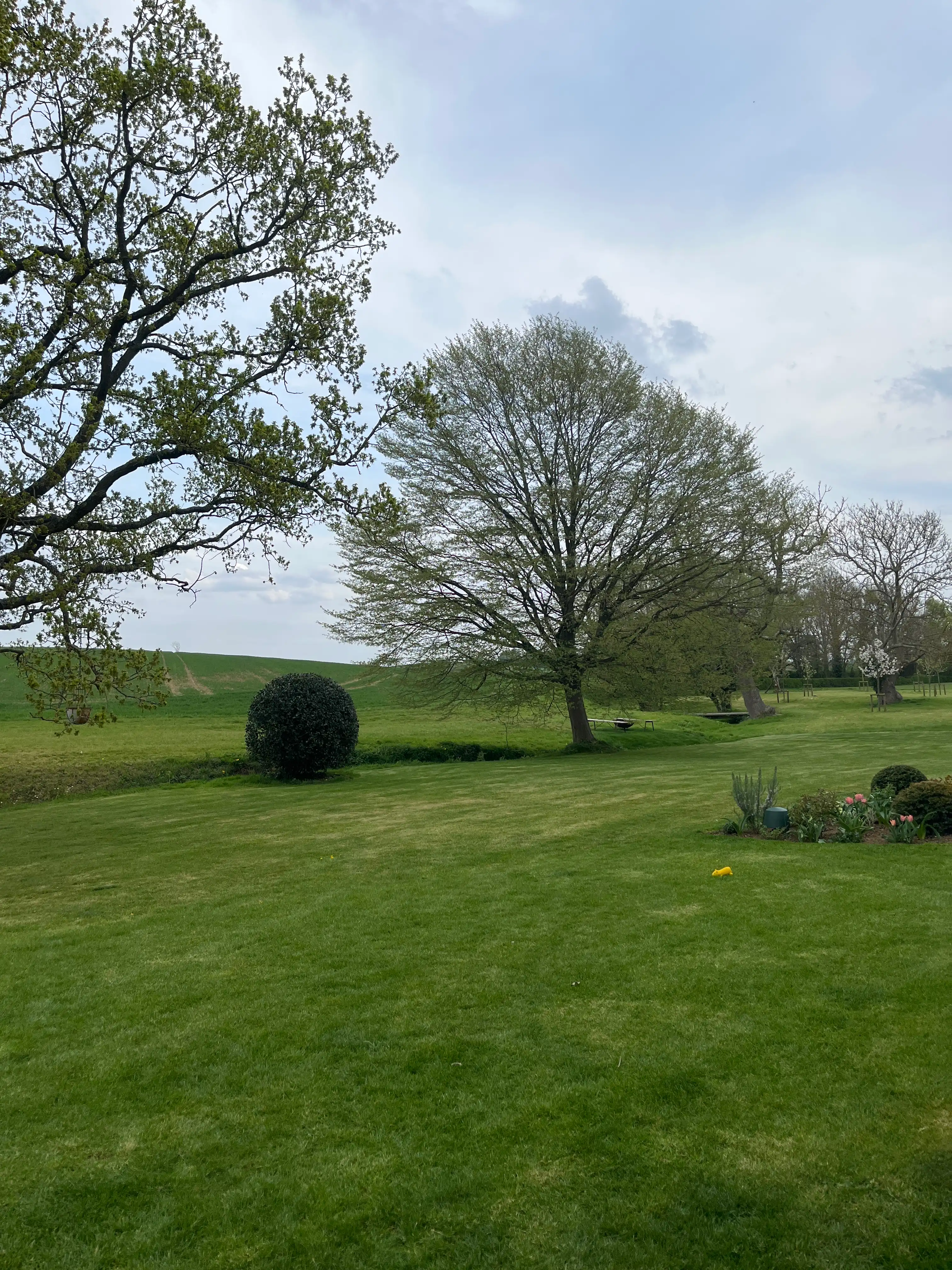 image-7