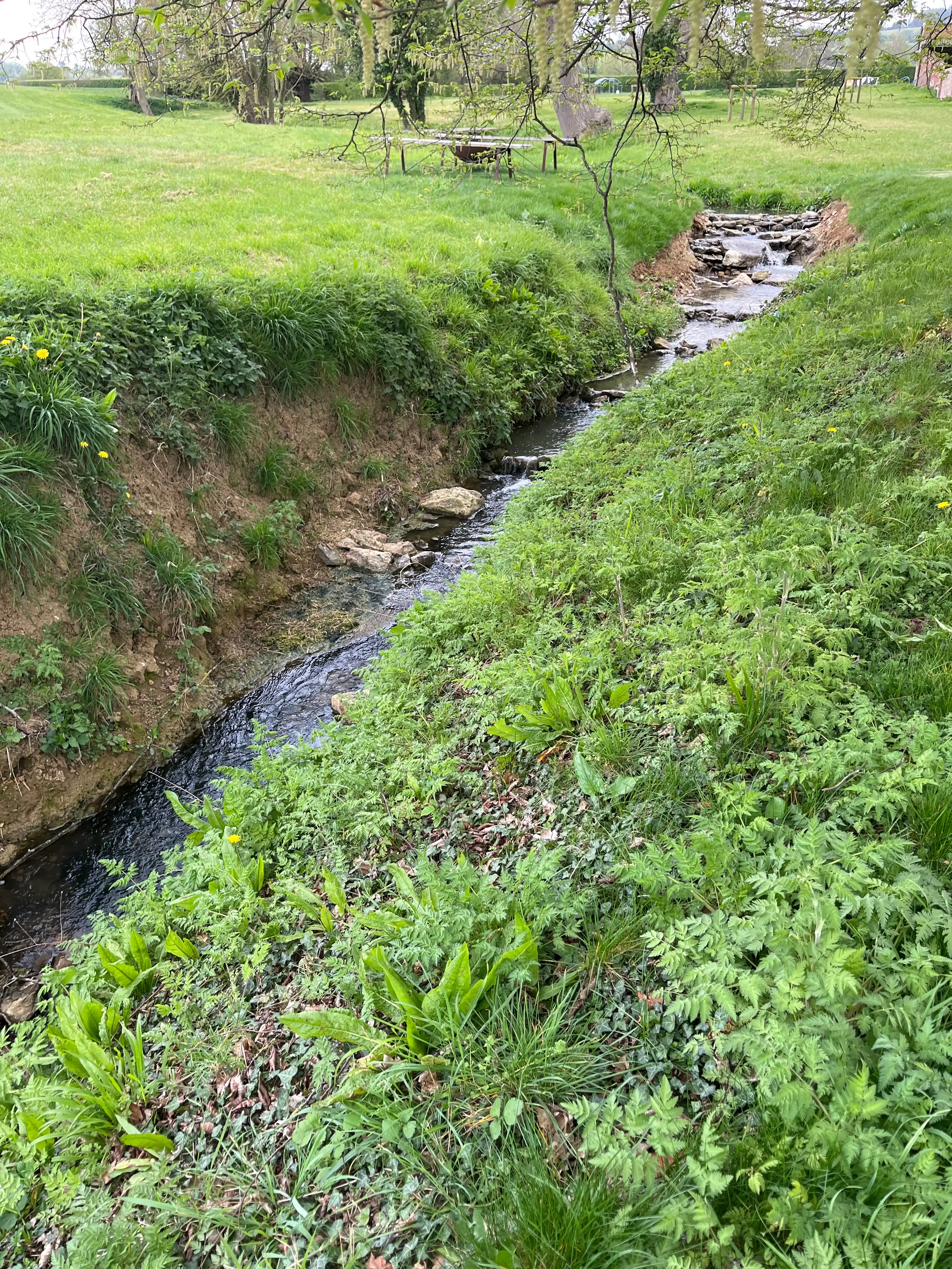 image-9