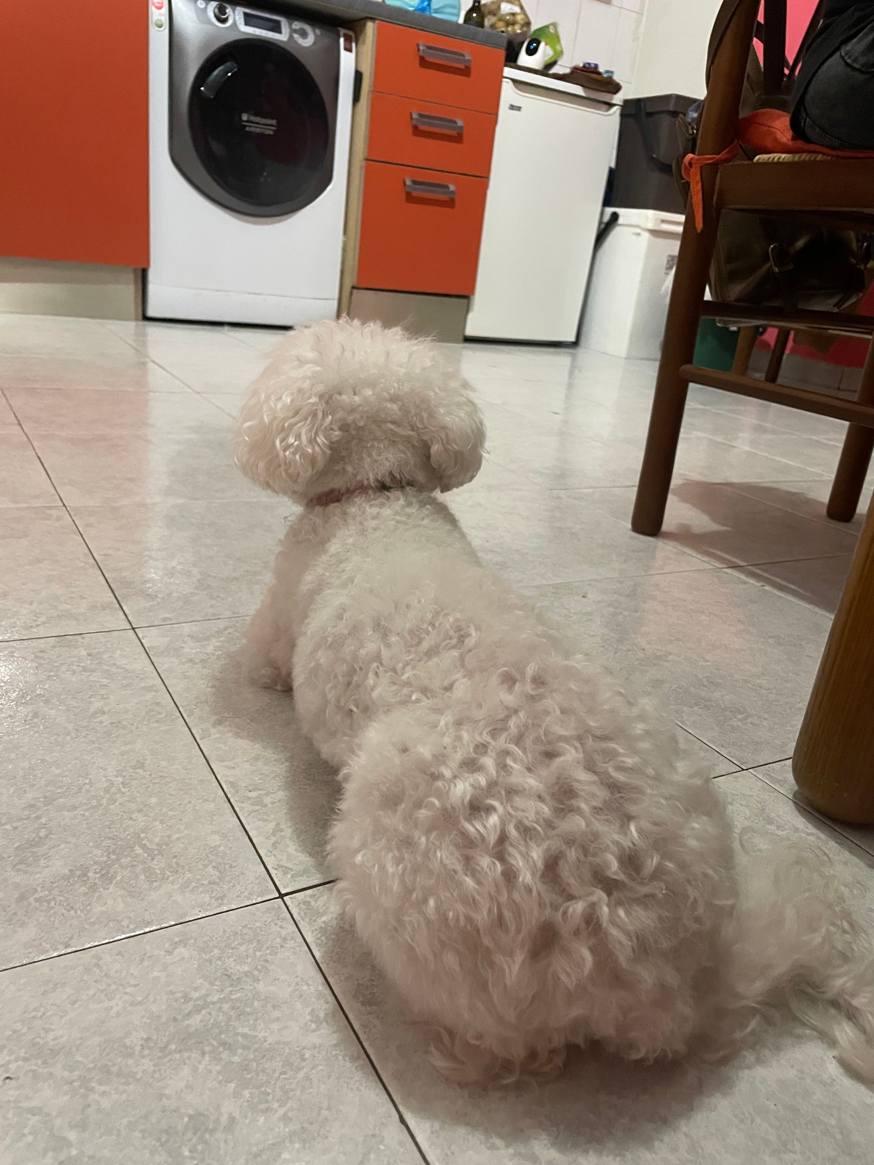 image-33