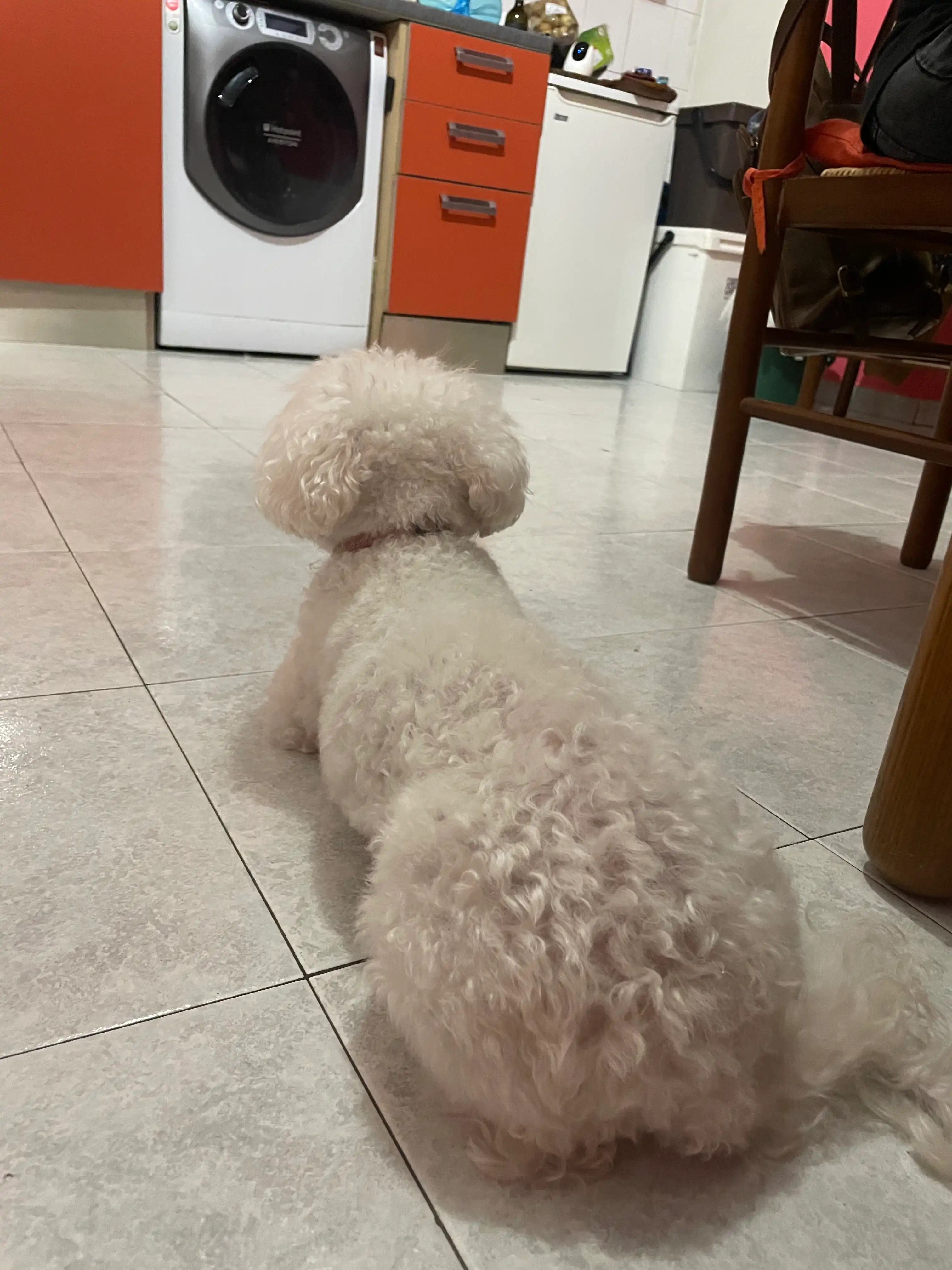 image-33
