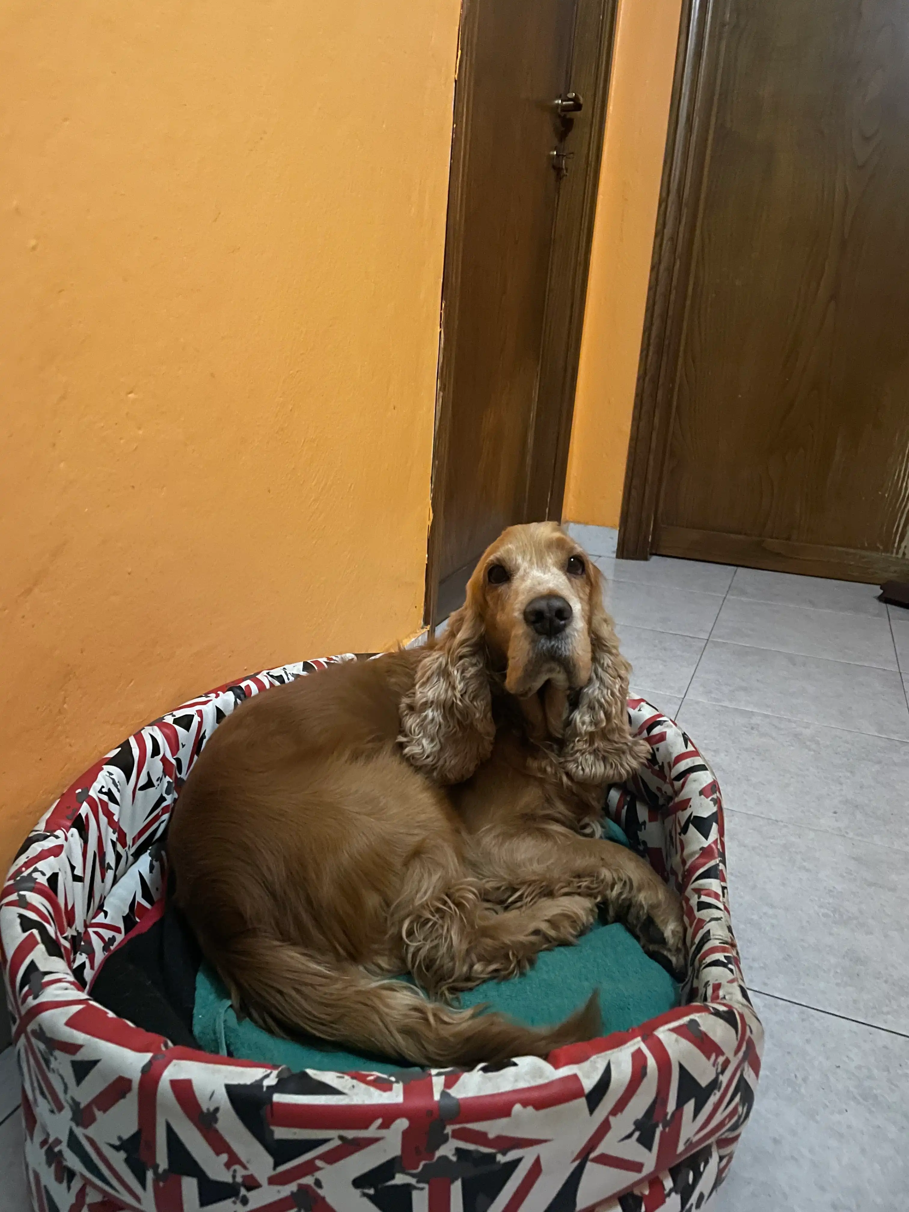 image-35