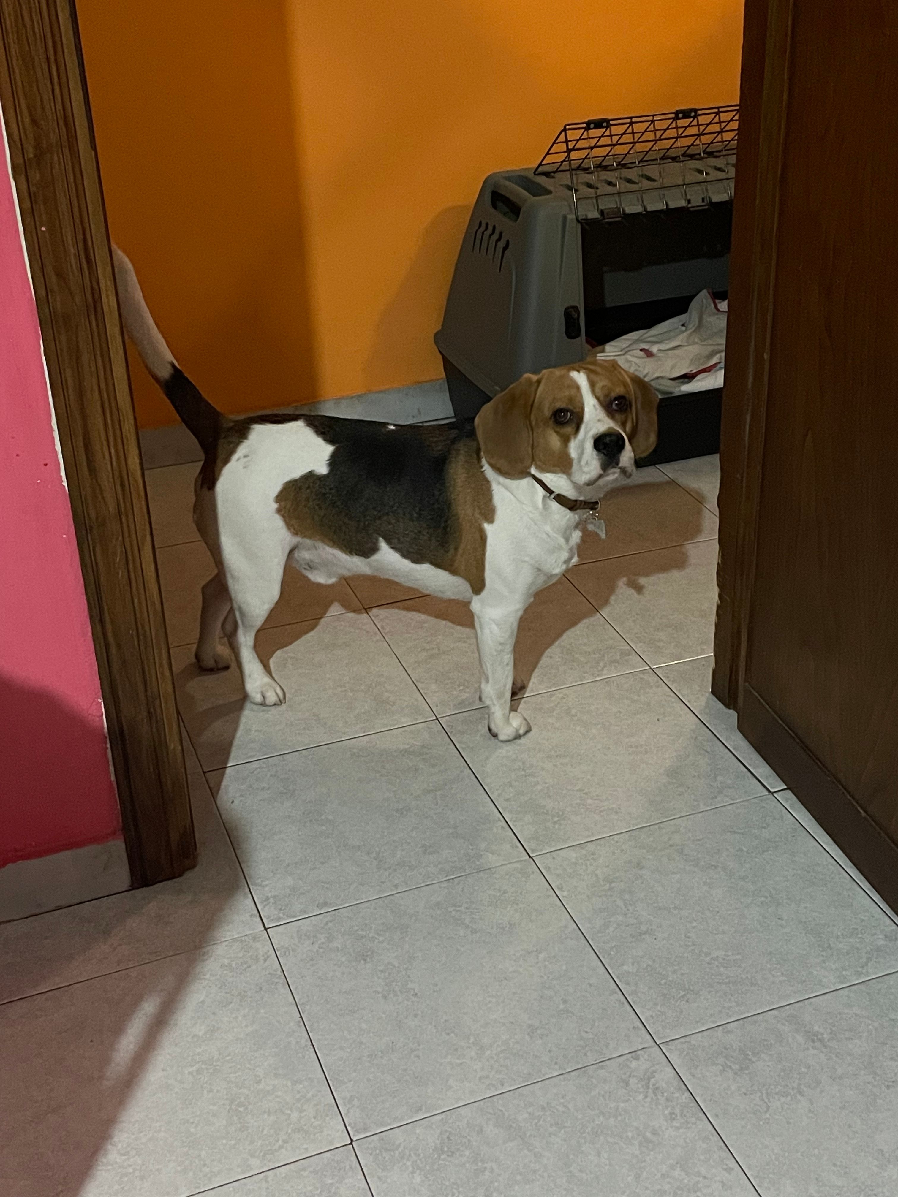 image-37