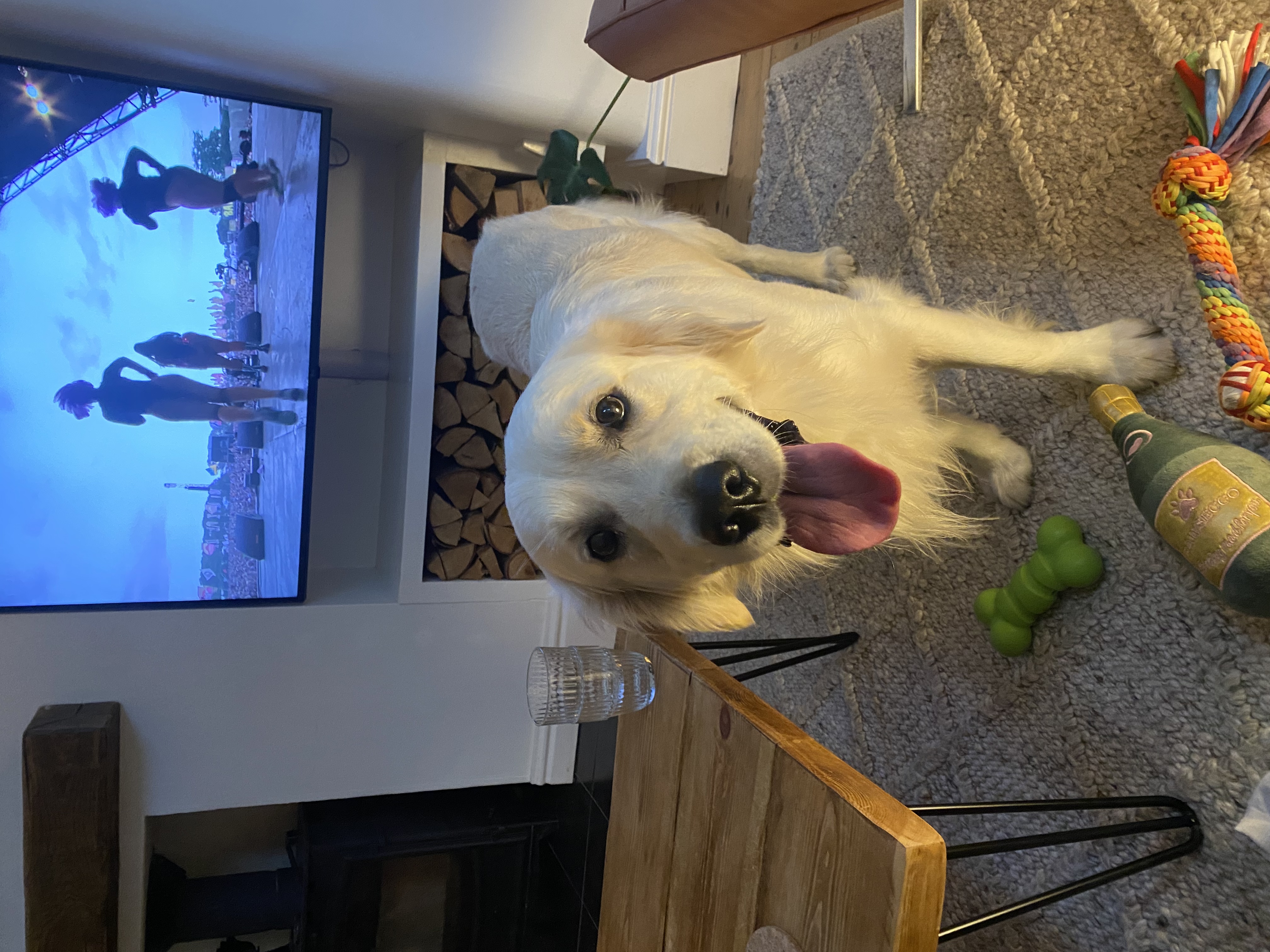 image-33