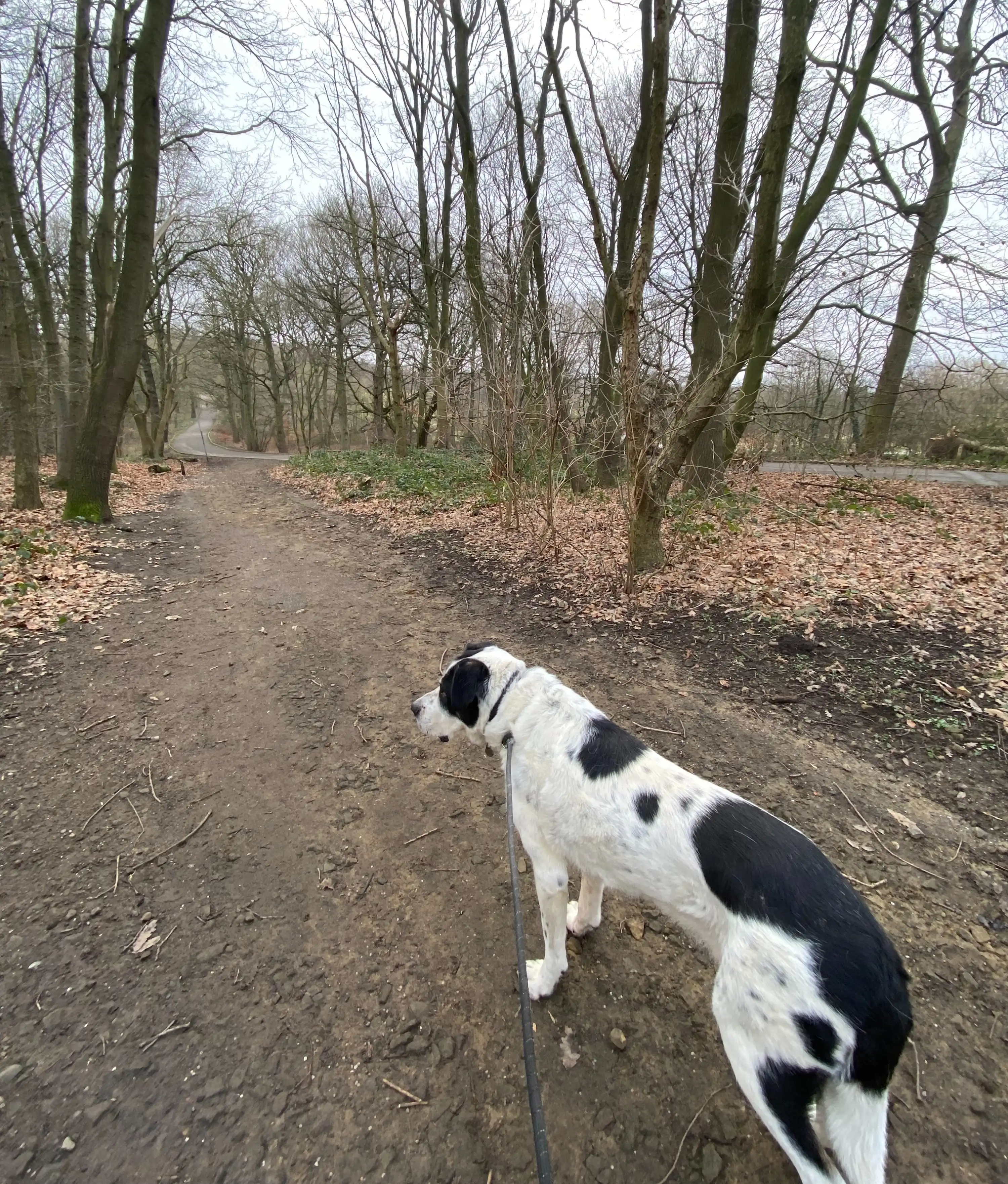 image-13