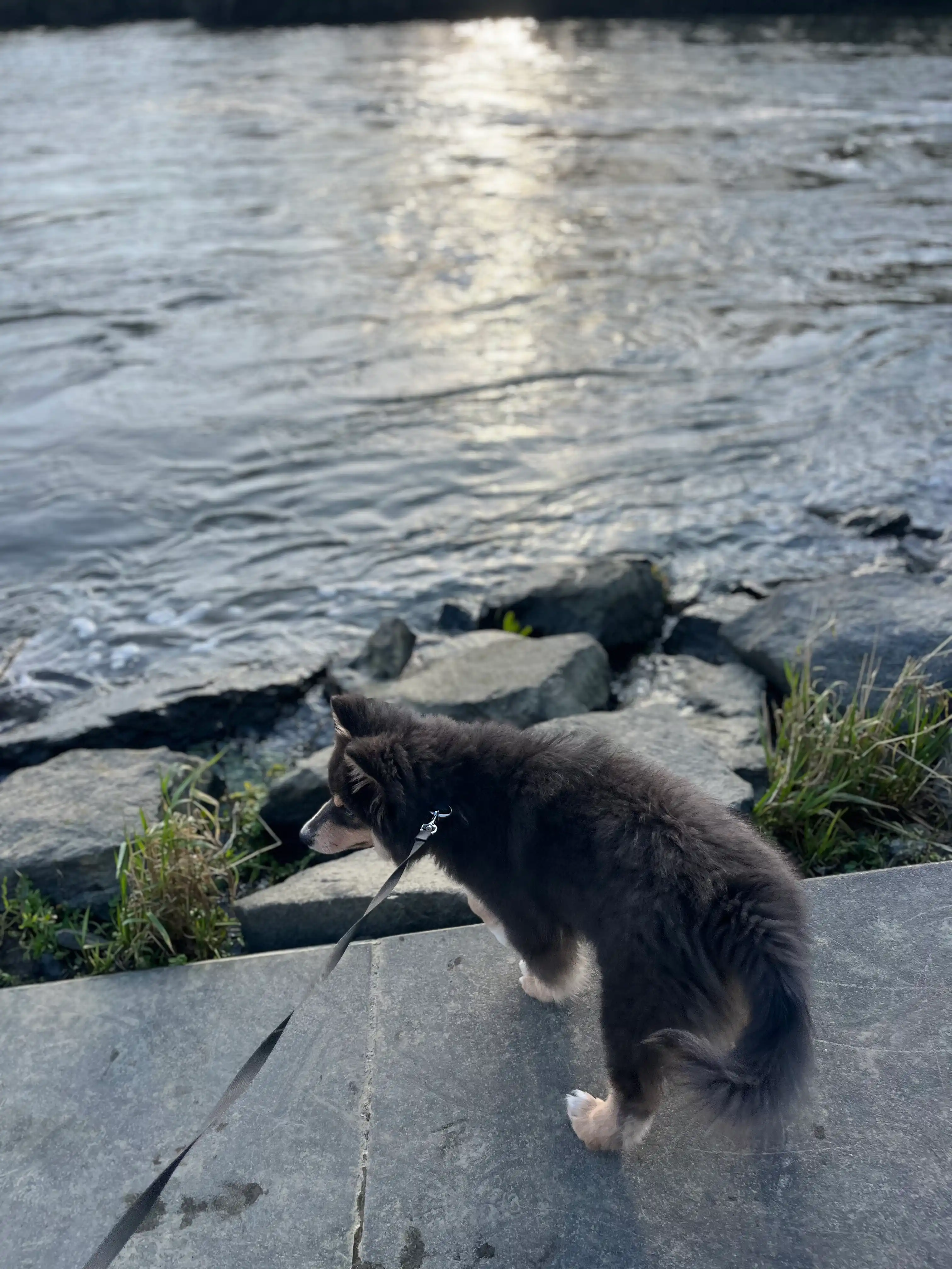 image-15