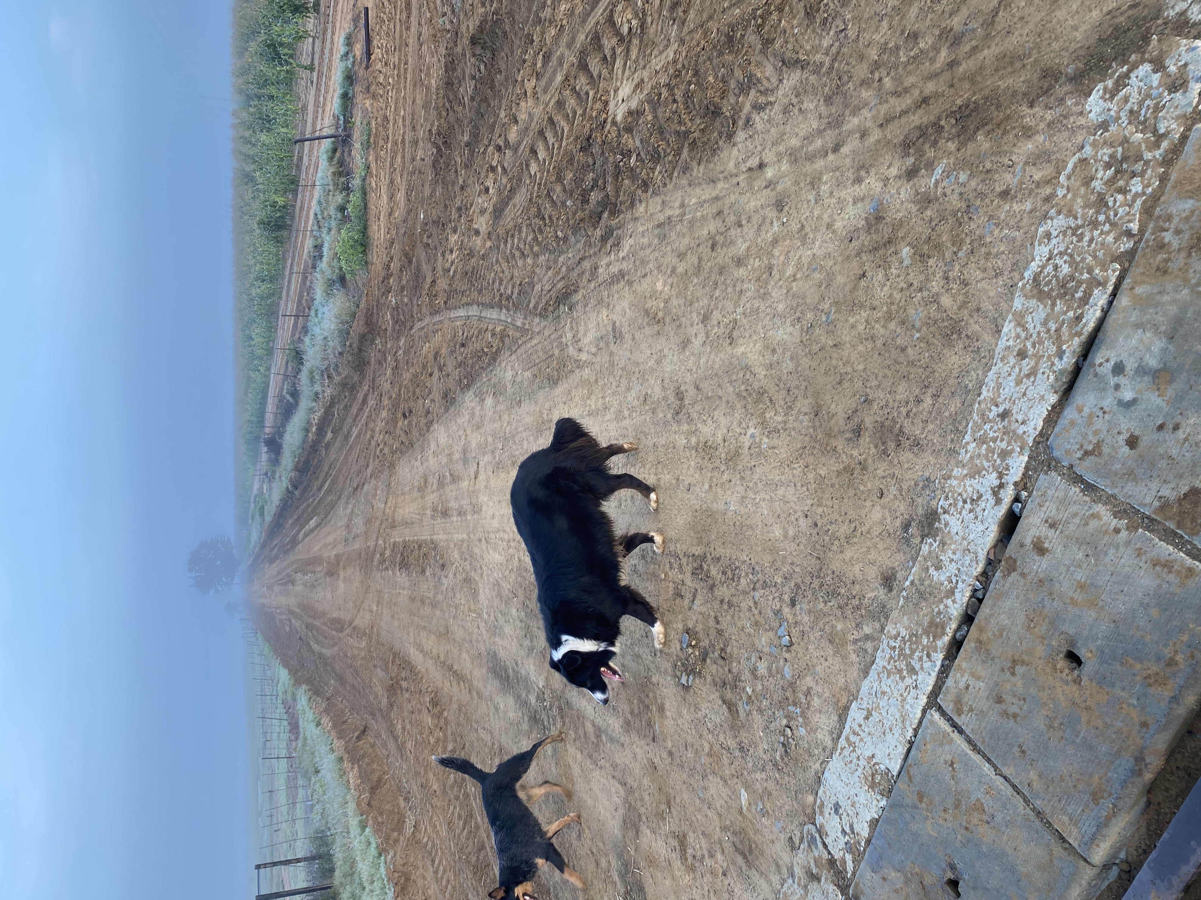 image-10